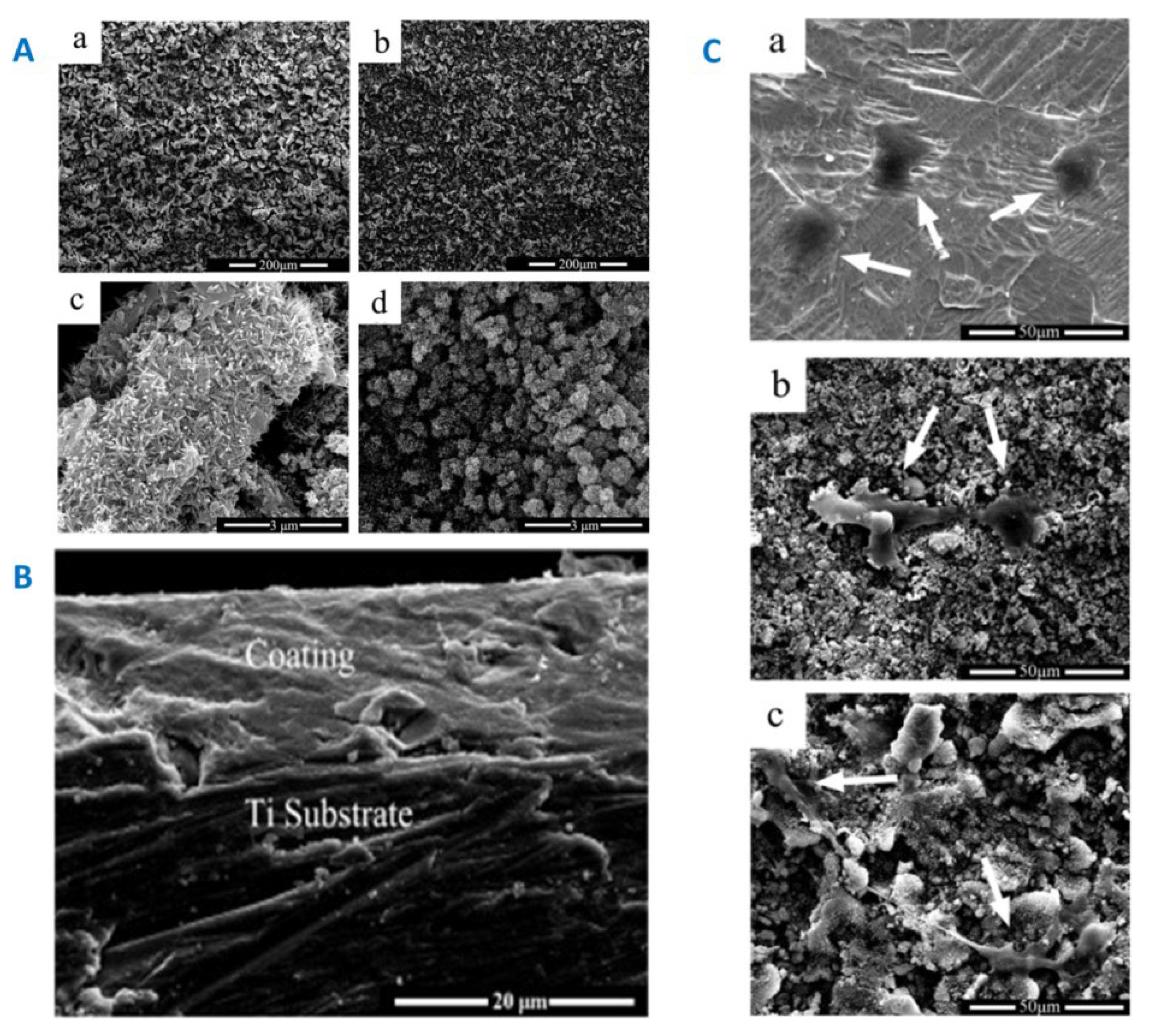 Preprints 100749 g018