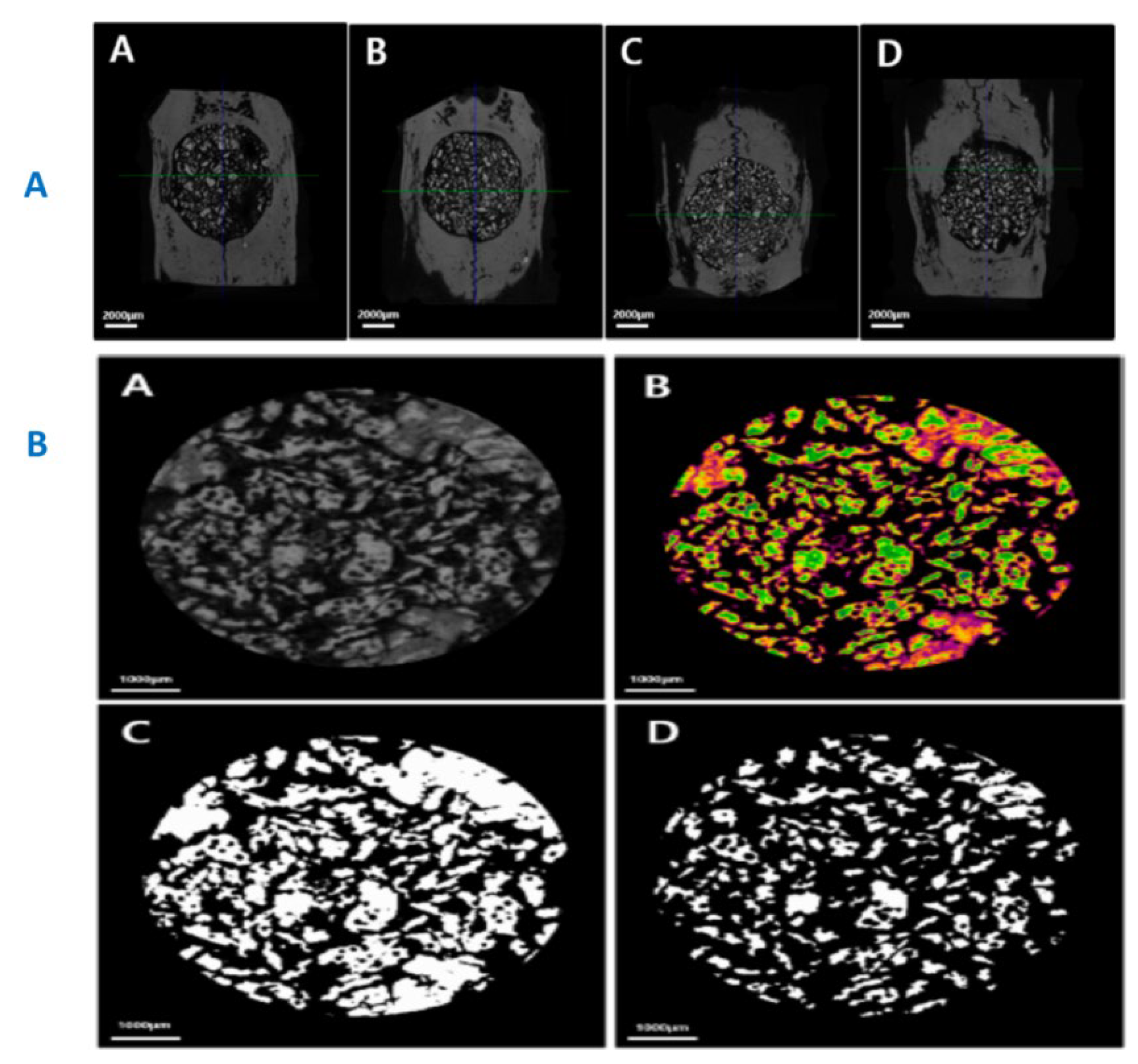 Preprints 100749 g019