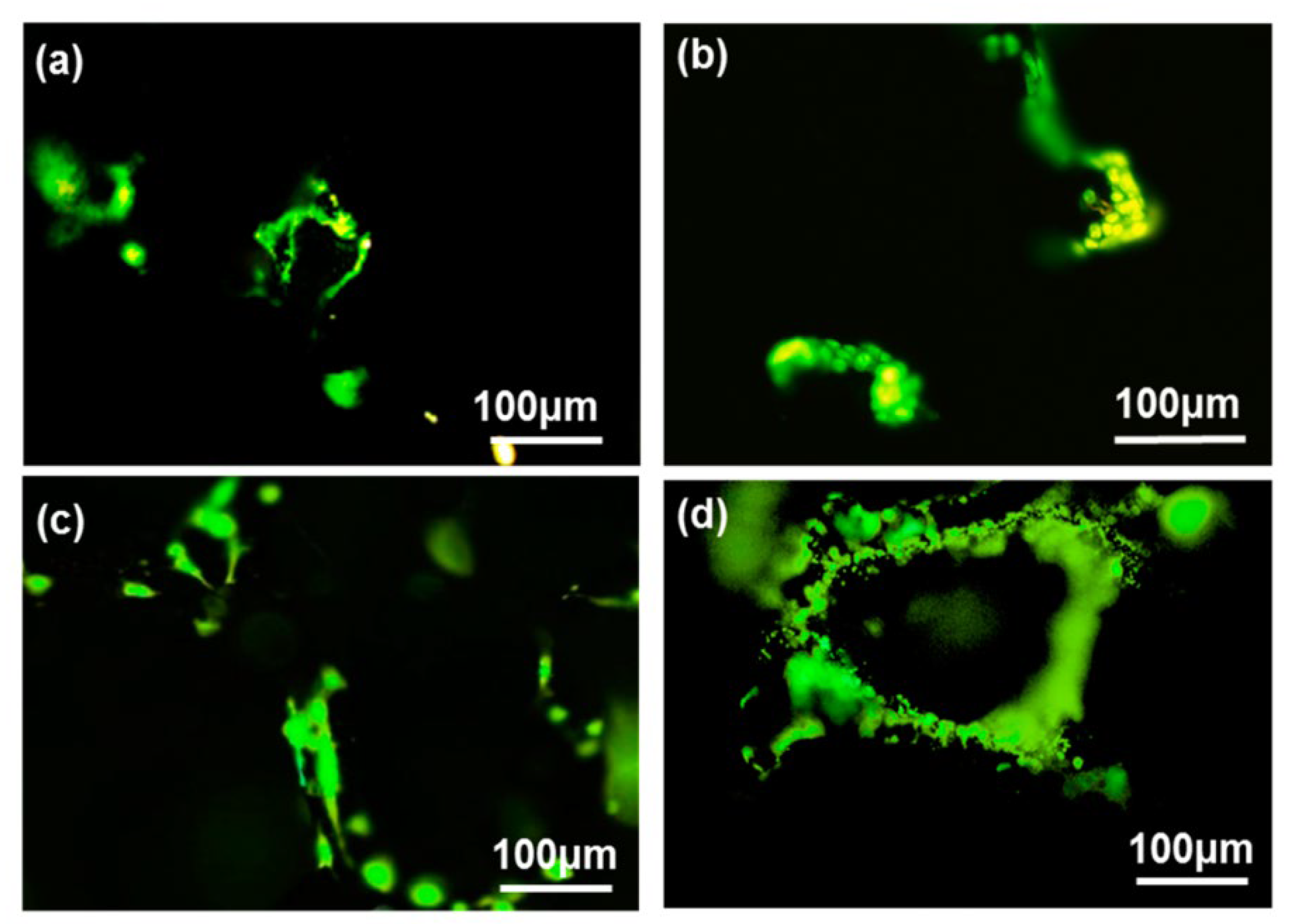 Preprints 100749 g023