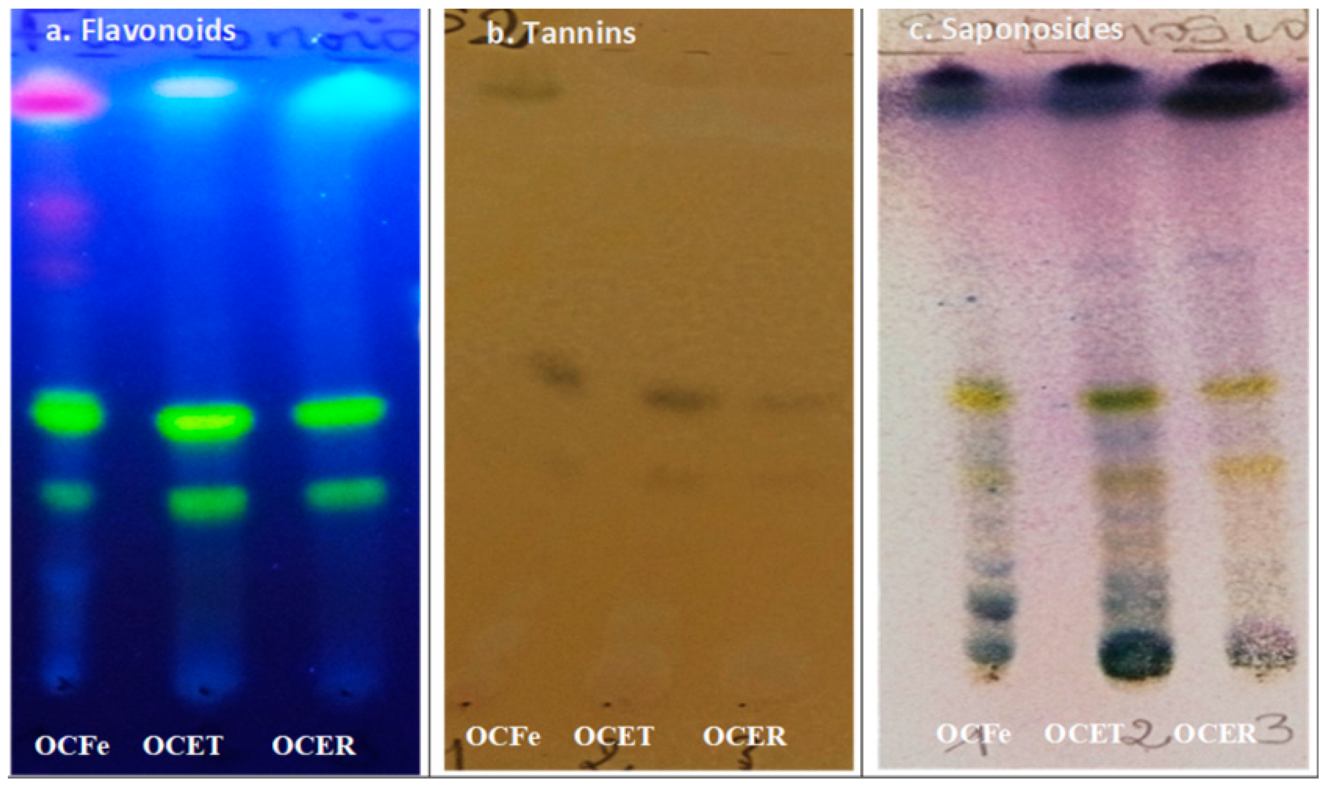 Preprints 77151 g001