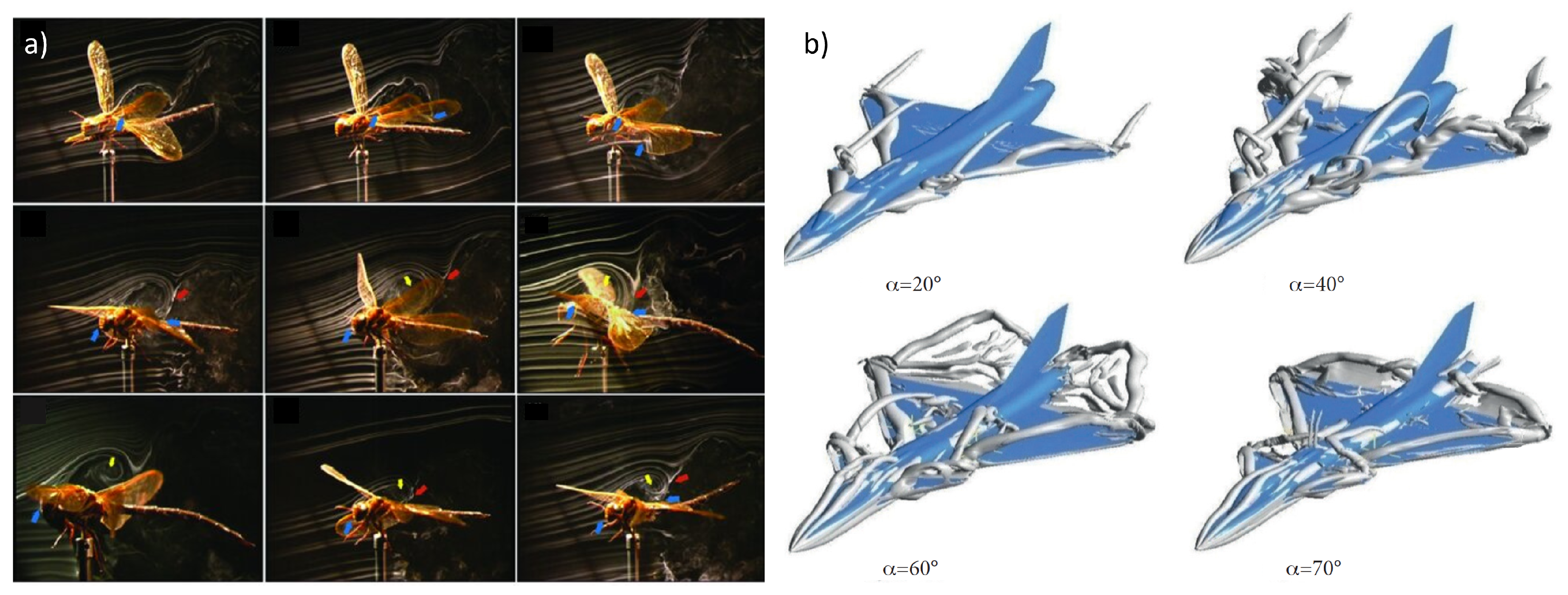 Preprints 117084 g001