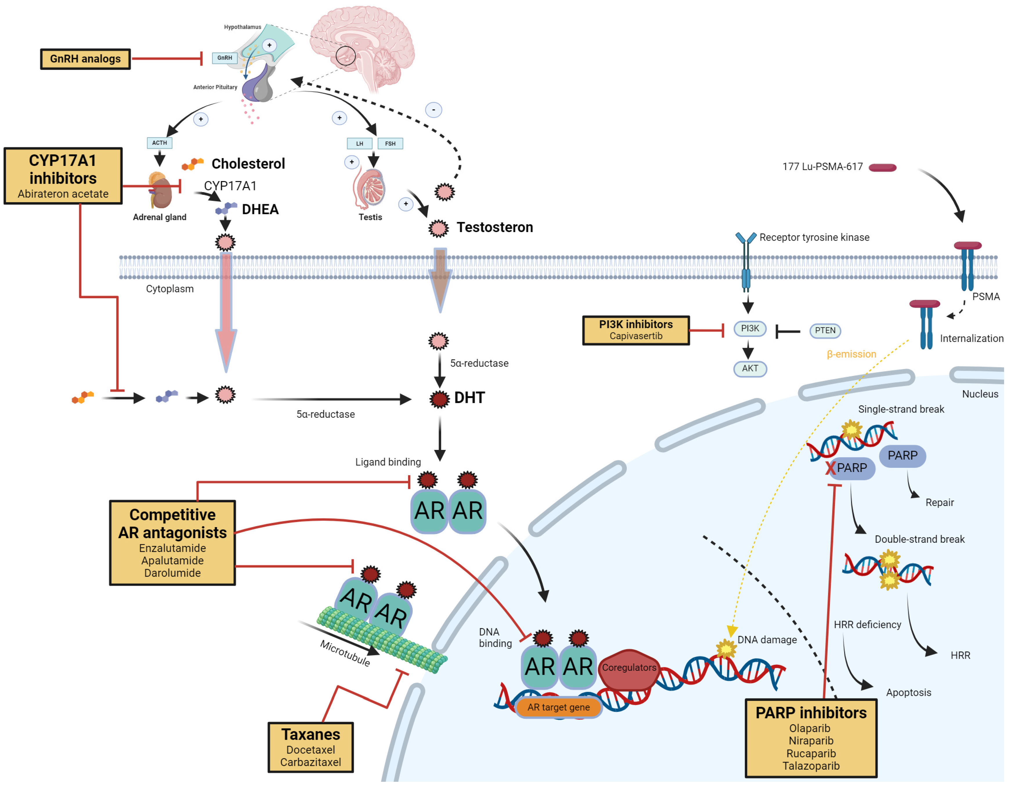 Preprints 116372 g001