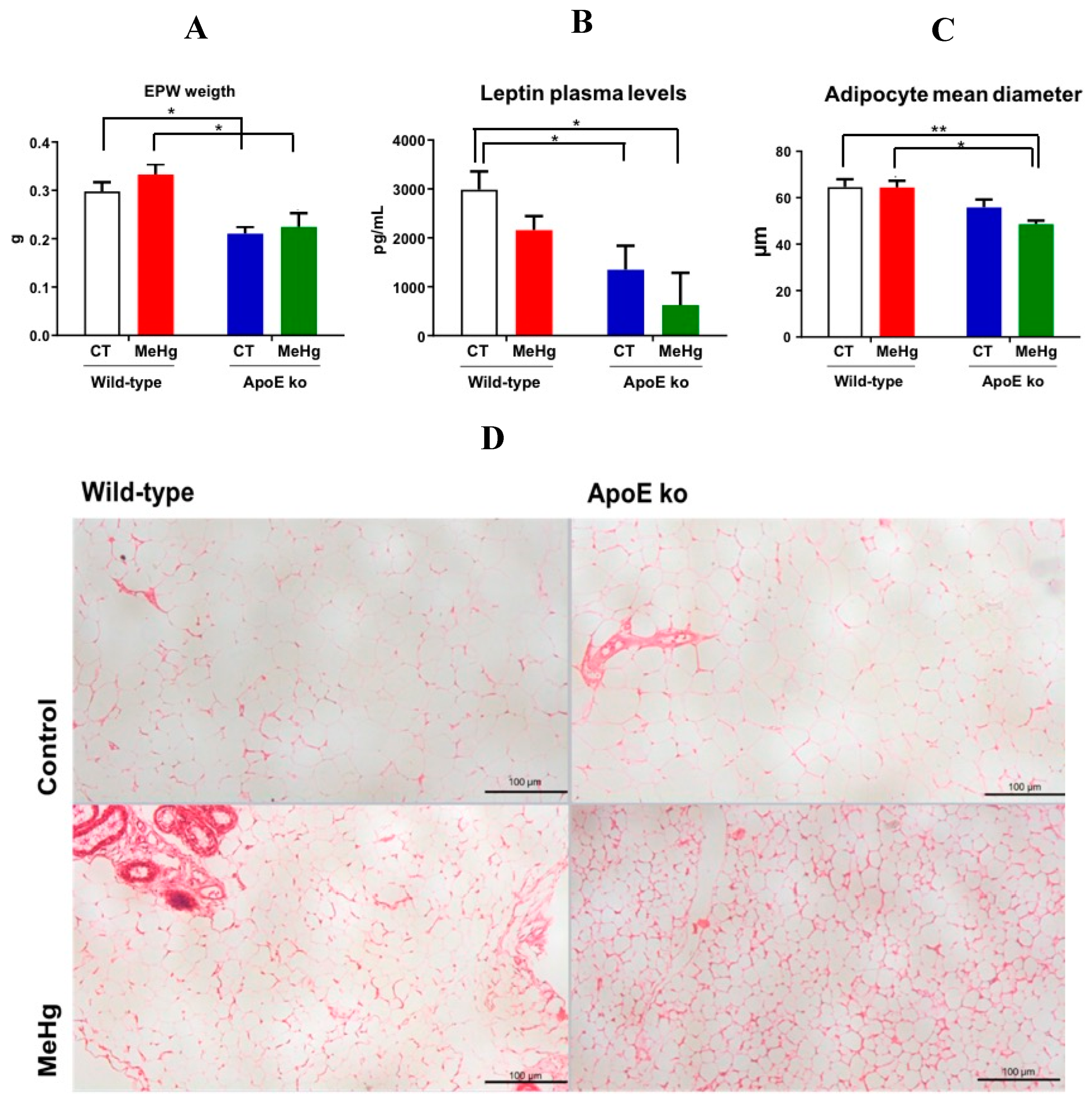 Preprints 106532 g004