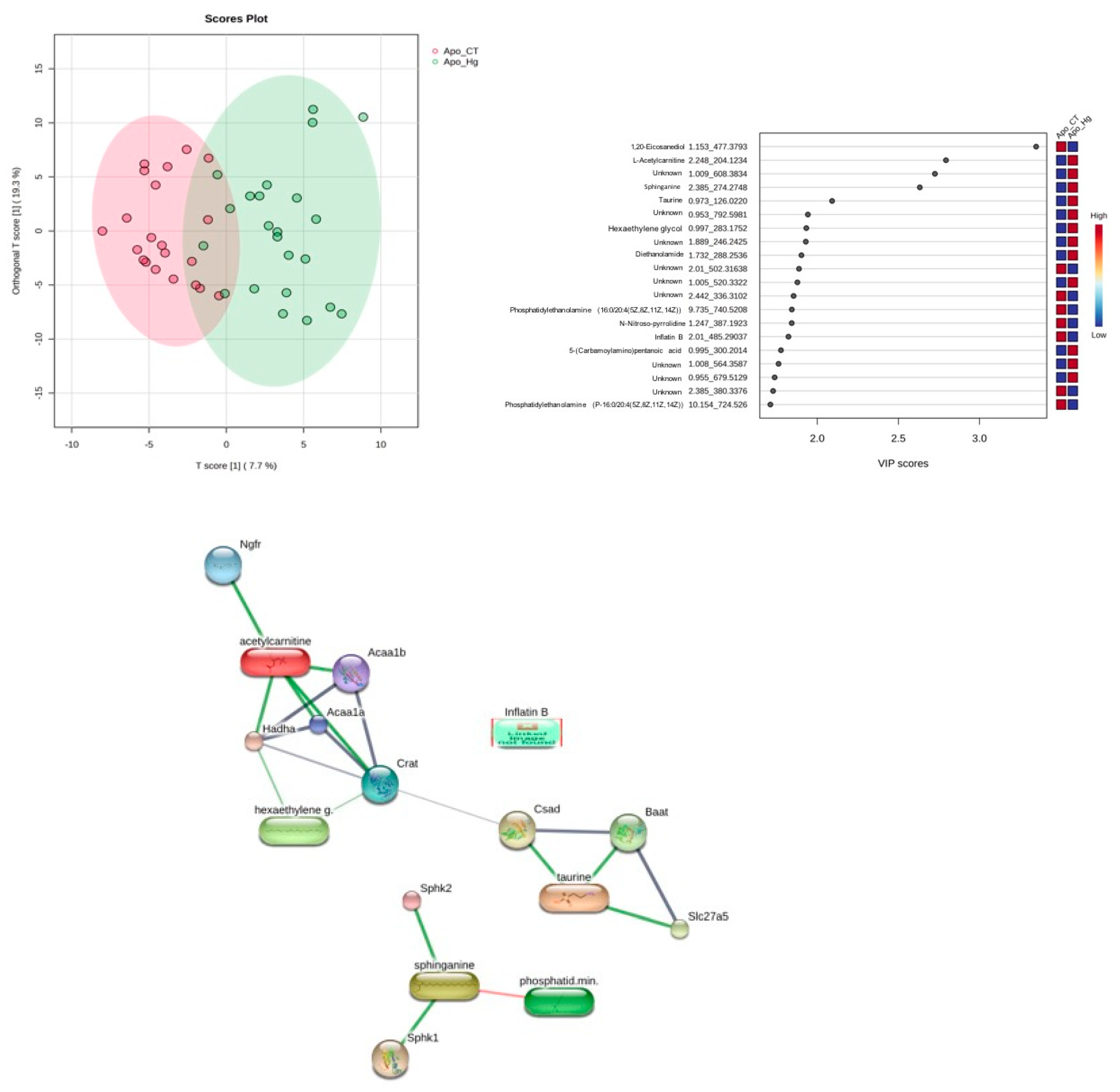 Preprints 106532 g006