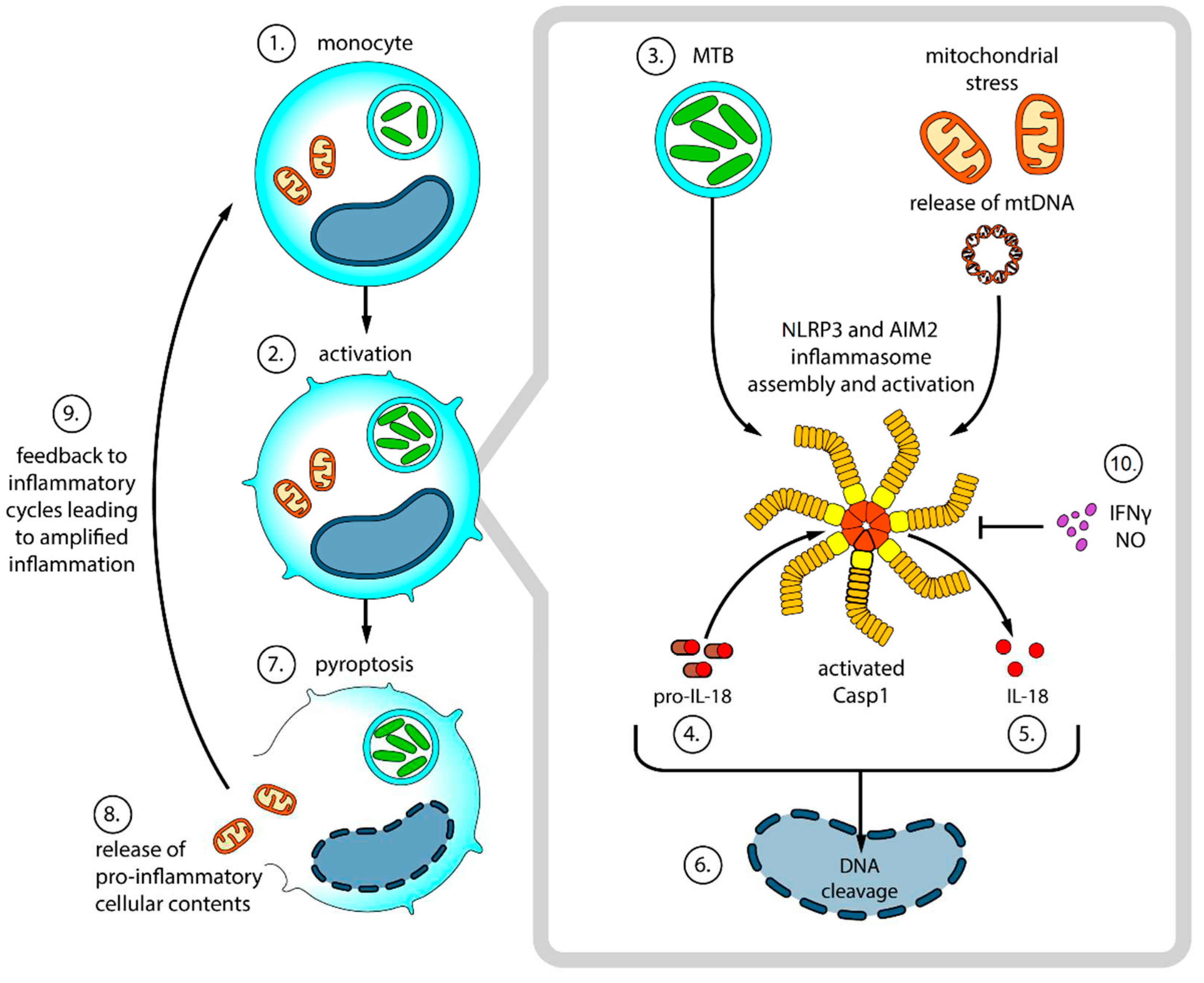 Preprints 66986 g002