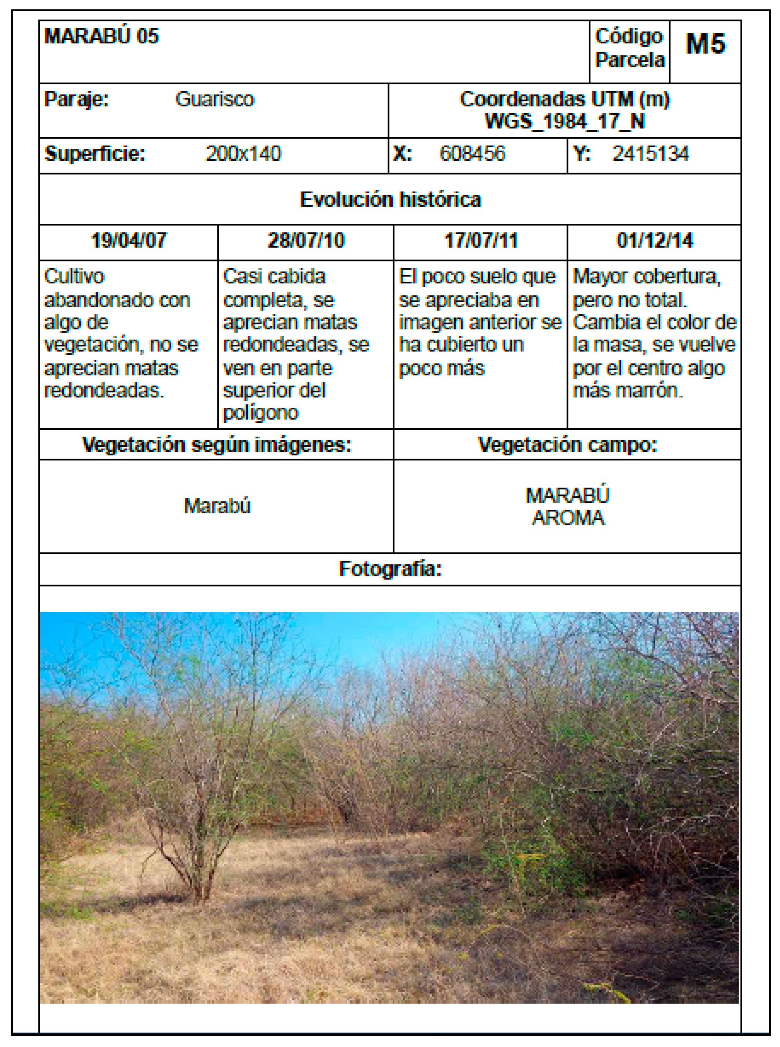 Preprints 97062 i018