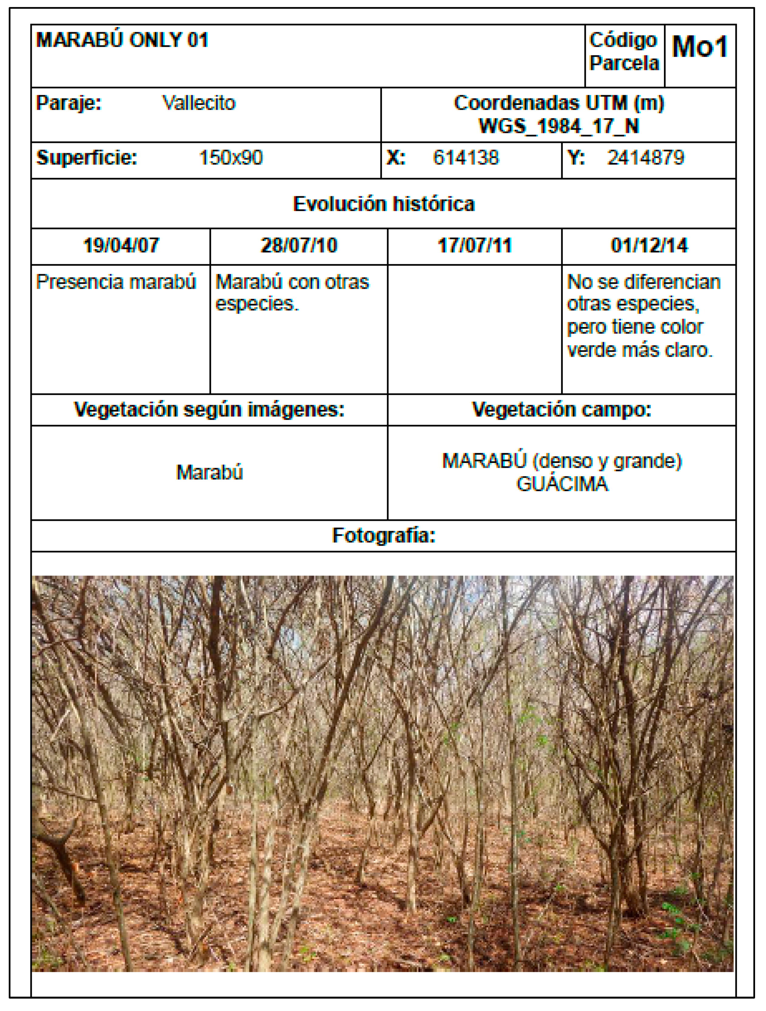 Preprints 97062 i024