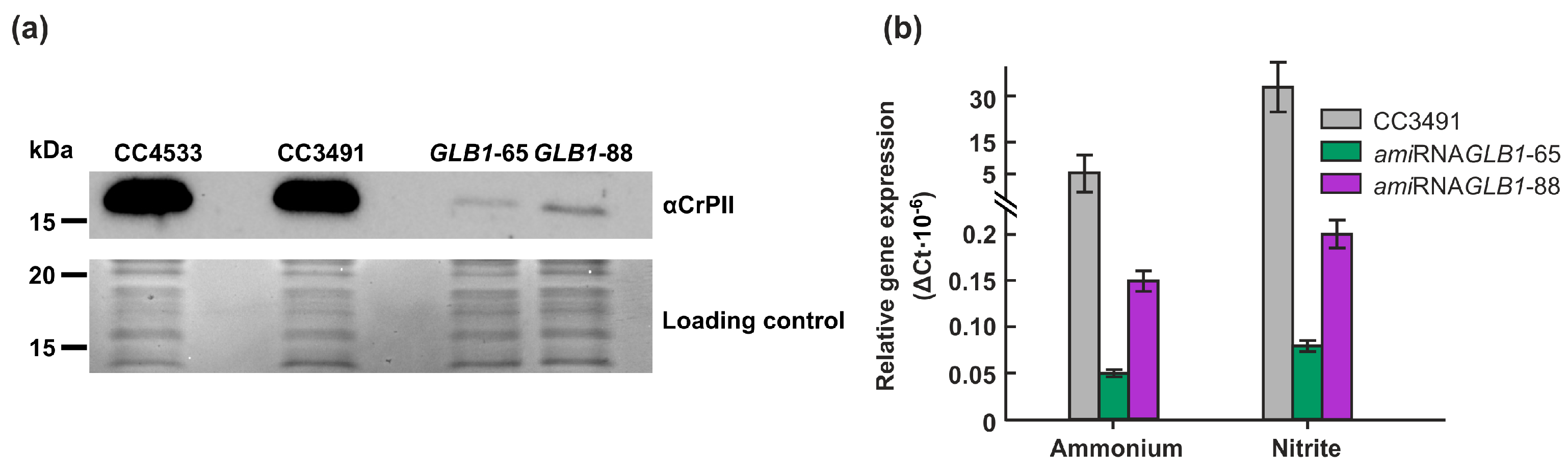 Preprints 80343 g004