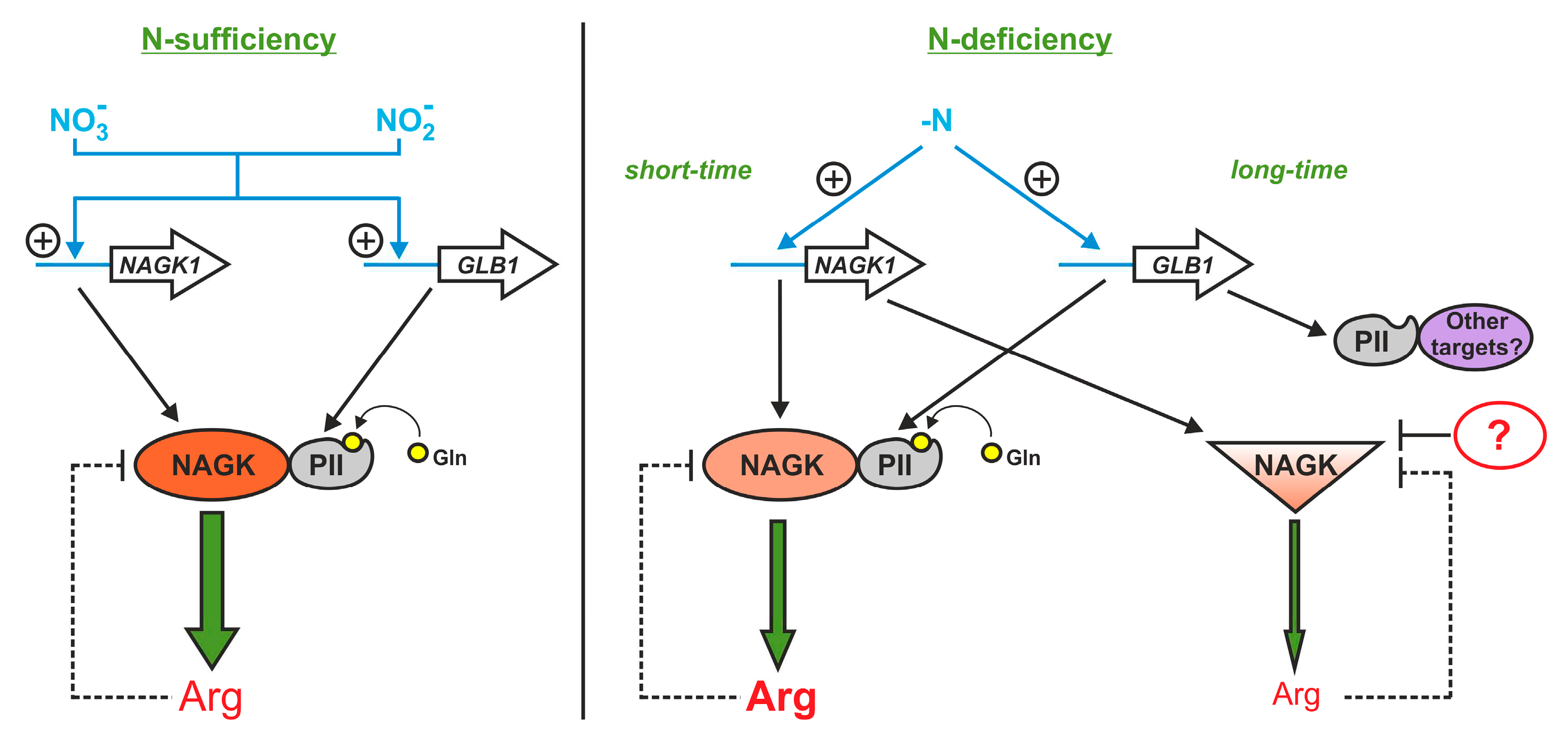 Preprints 80343 g007