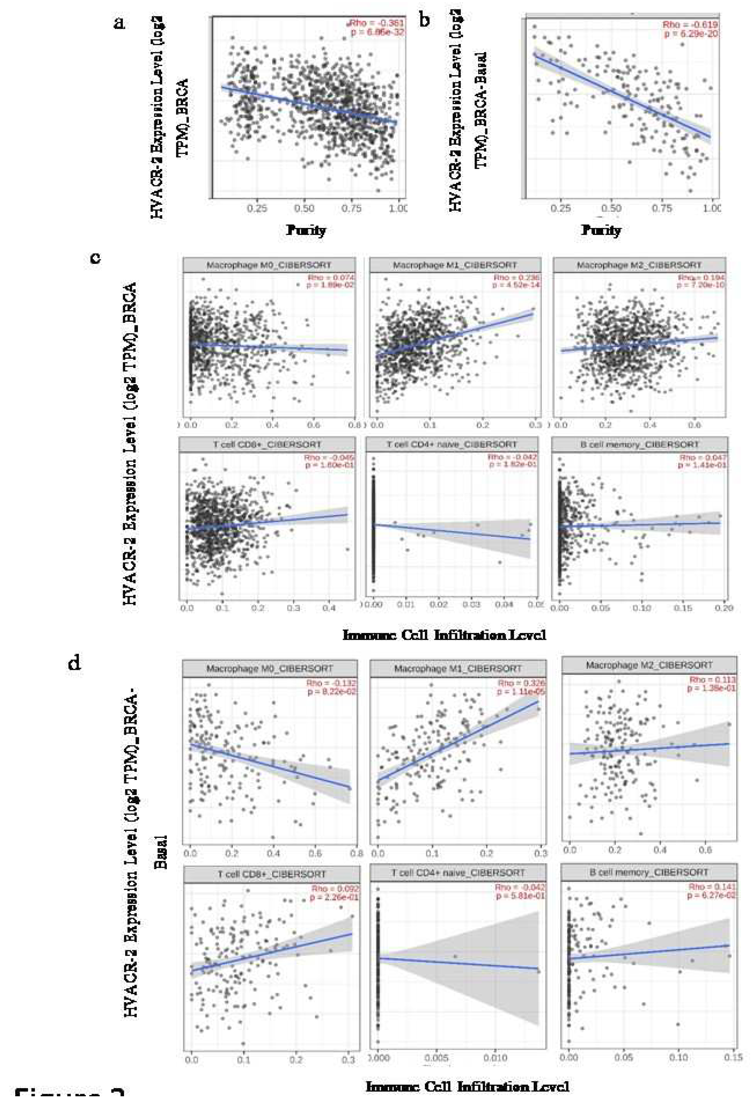 Preprints 97376 g002