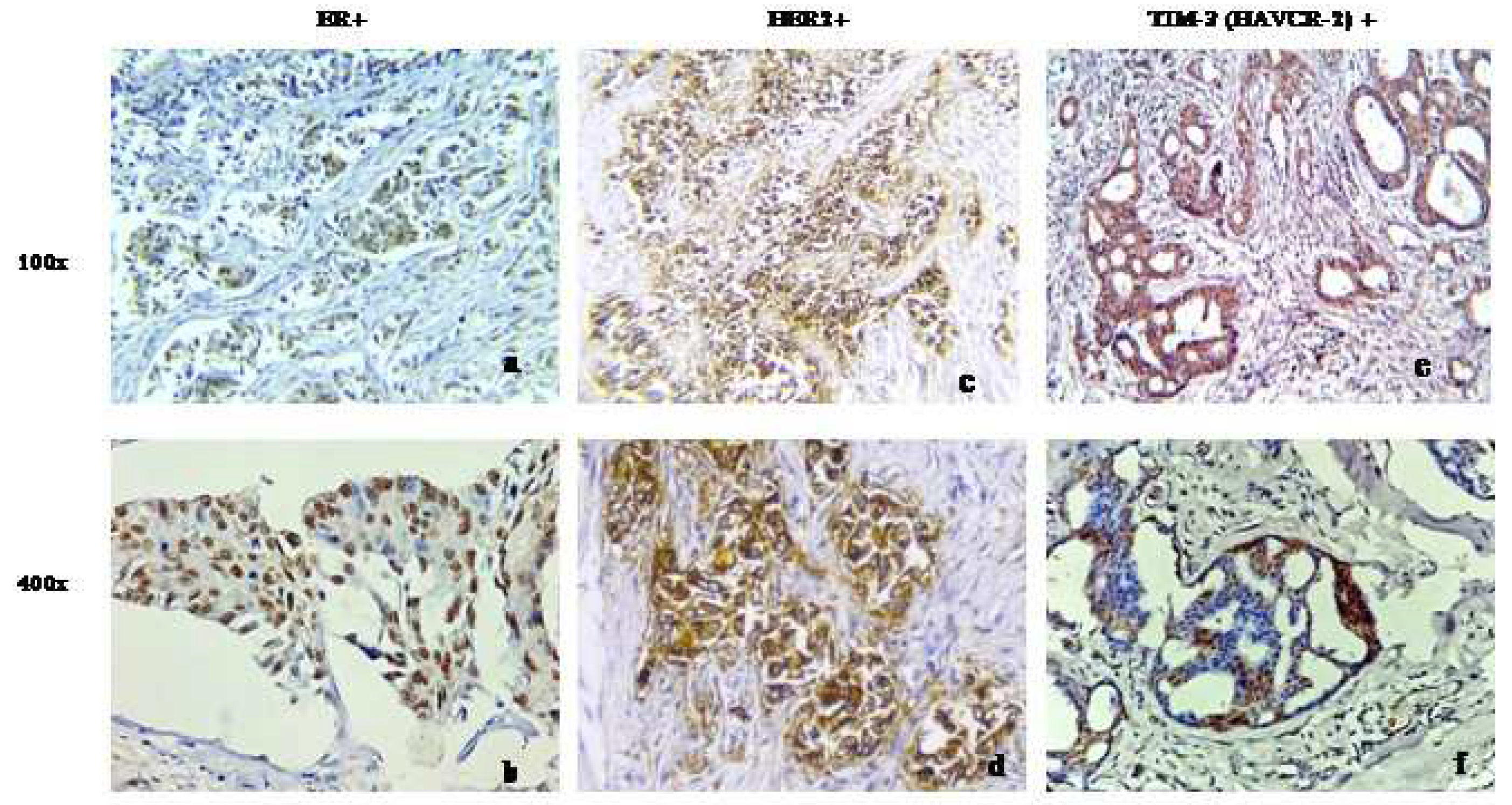 Preprints 97376 g003