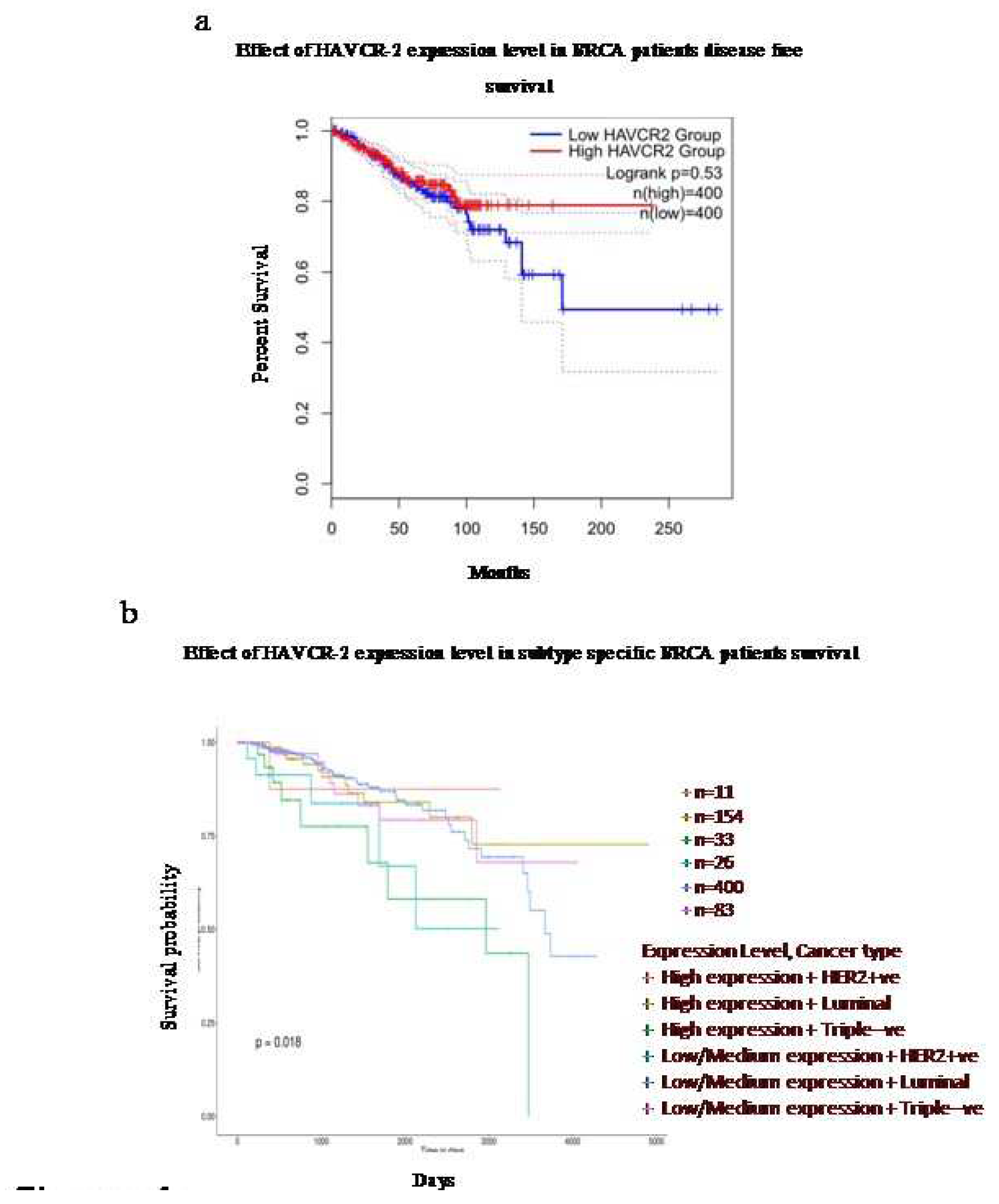 Preprints 97376 g004