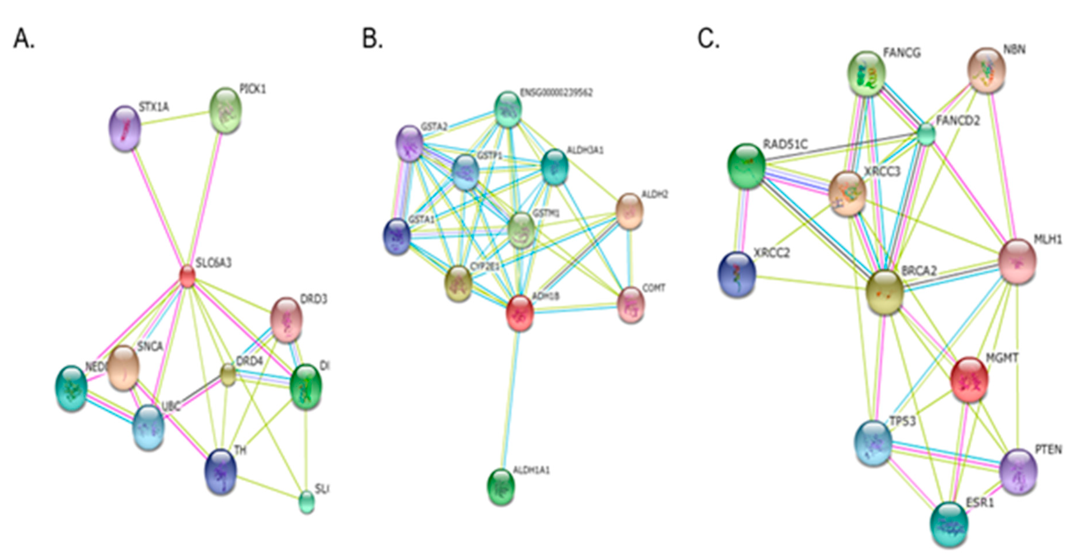 Preprints 95323 g003