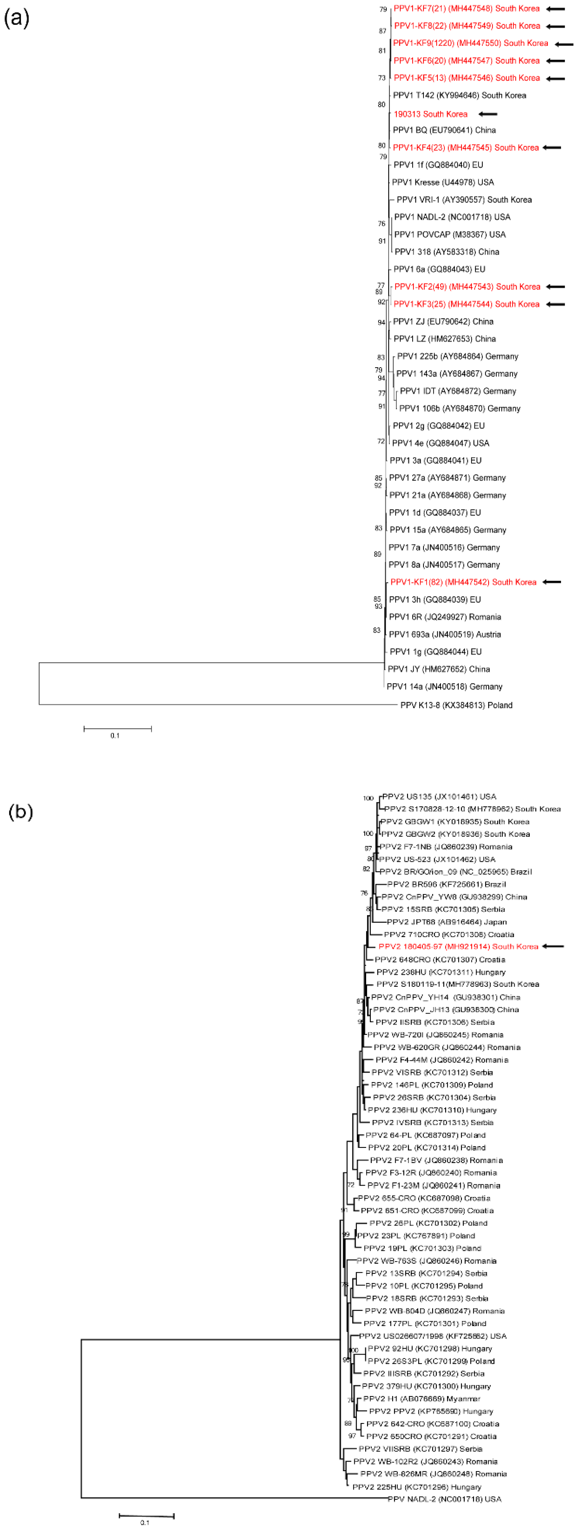 Preprints 73753 g001a