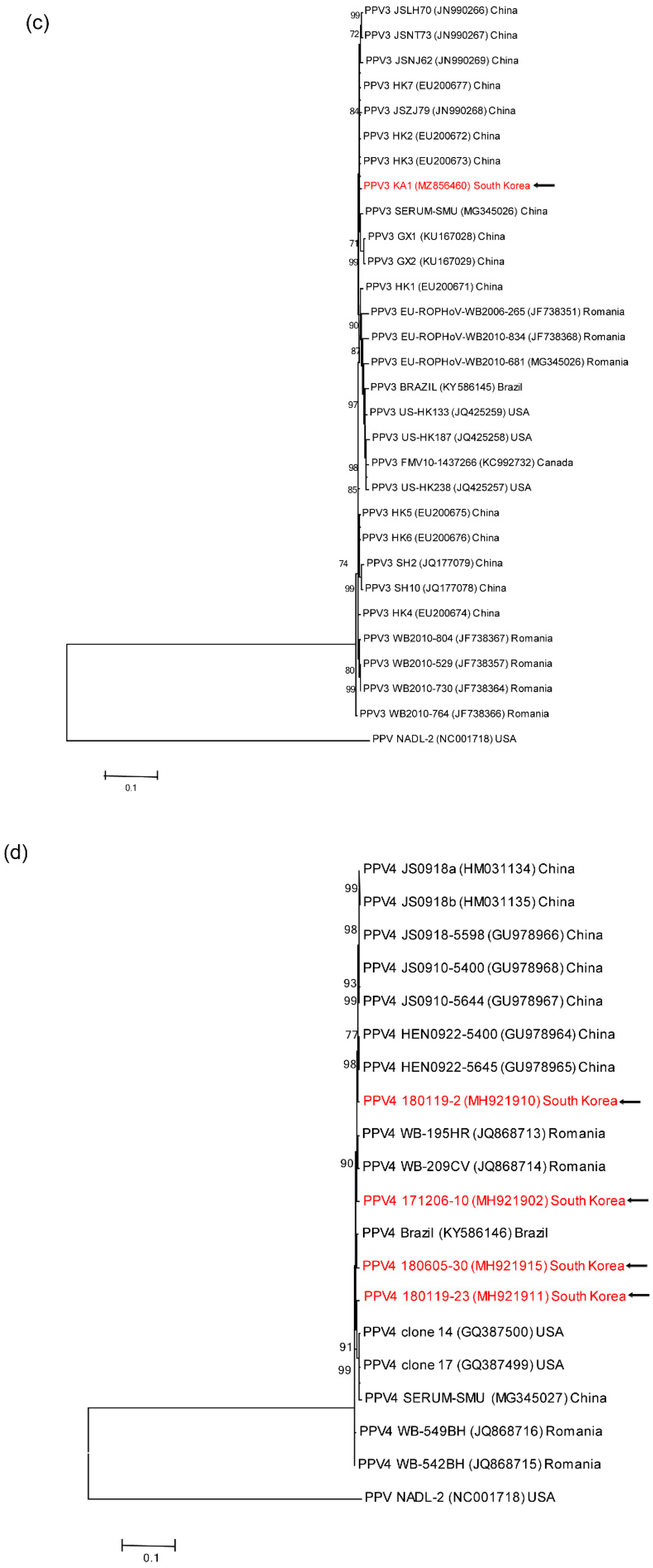 Preprints 73753 g001b