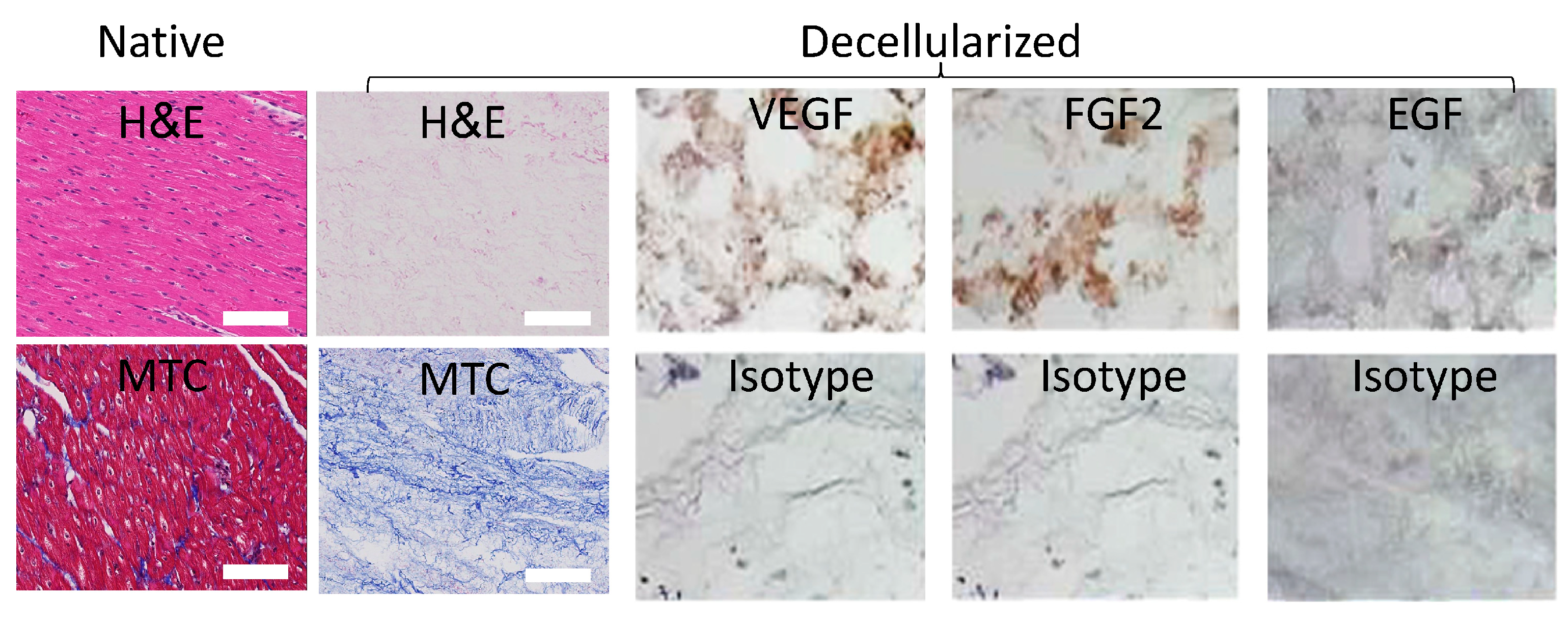 Preprints 85982 g001