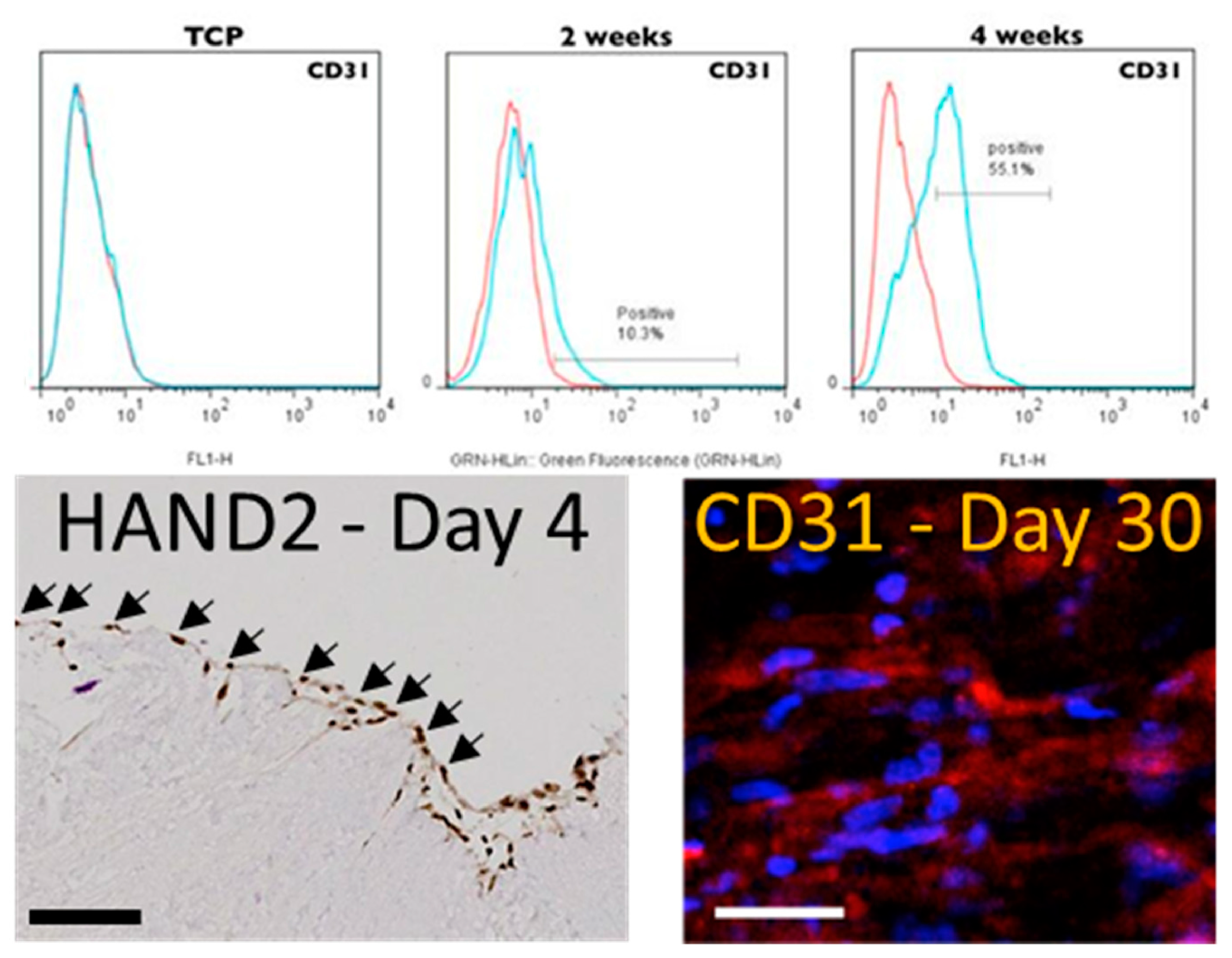 Preprints 85982 g003