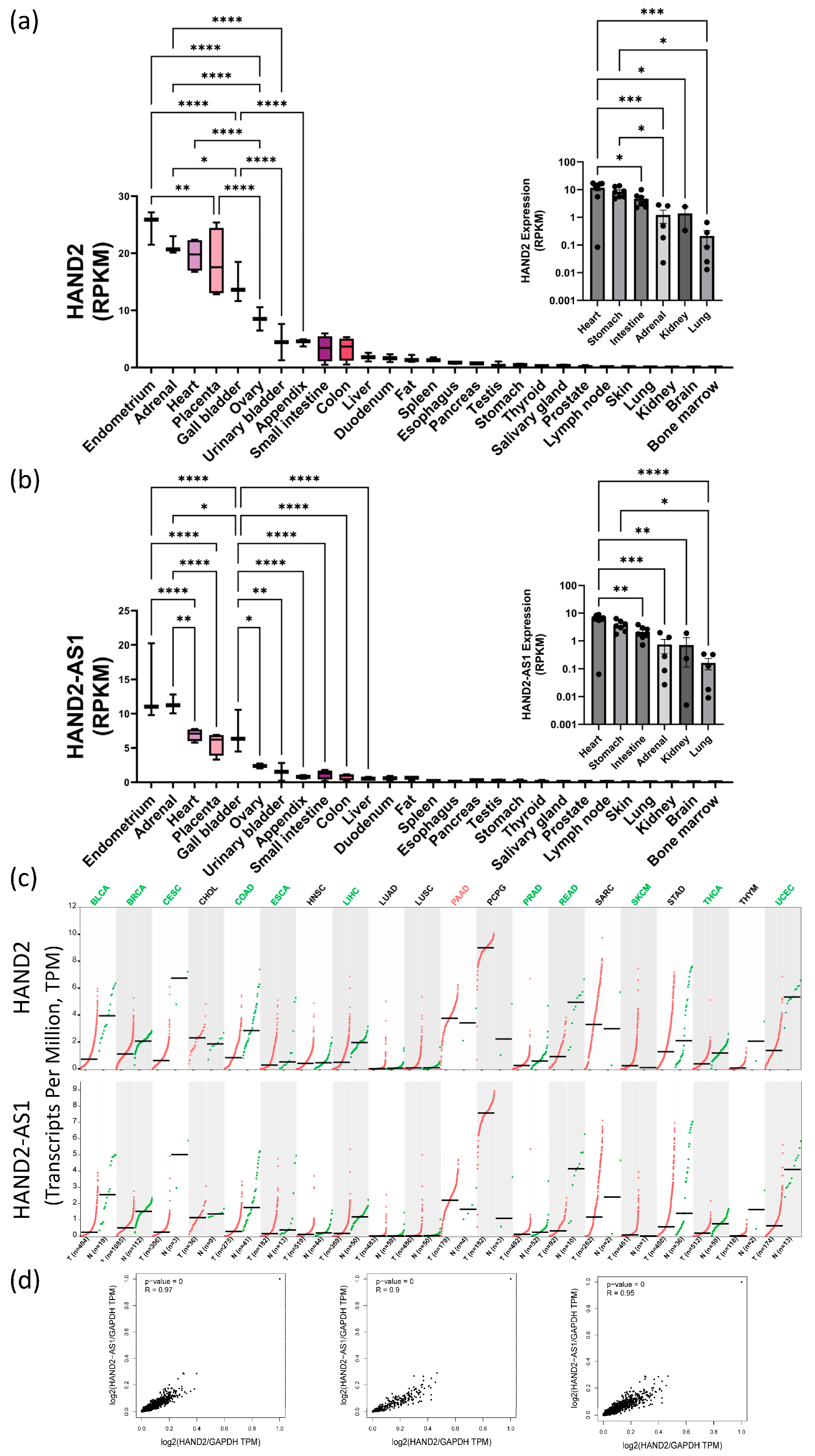 Preprints 85982 g004