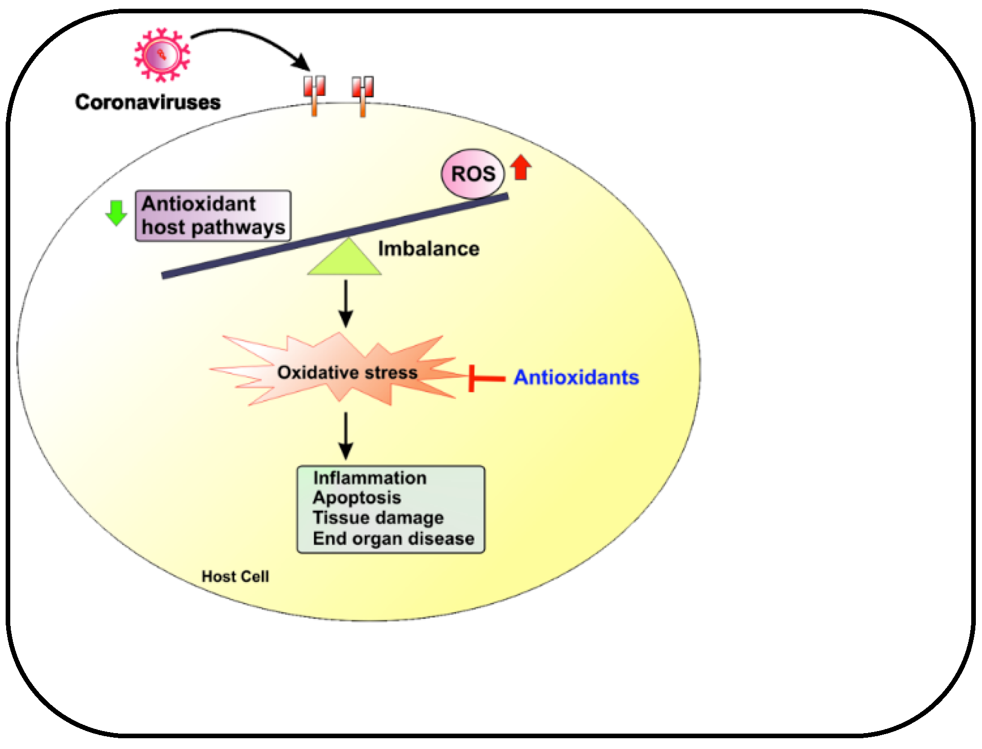 Preprints 103439 g005