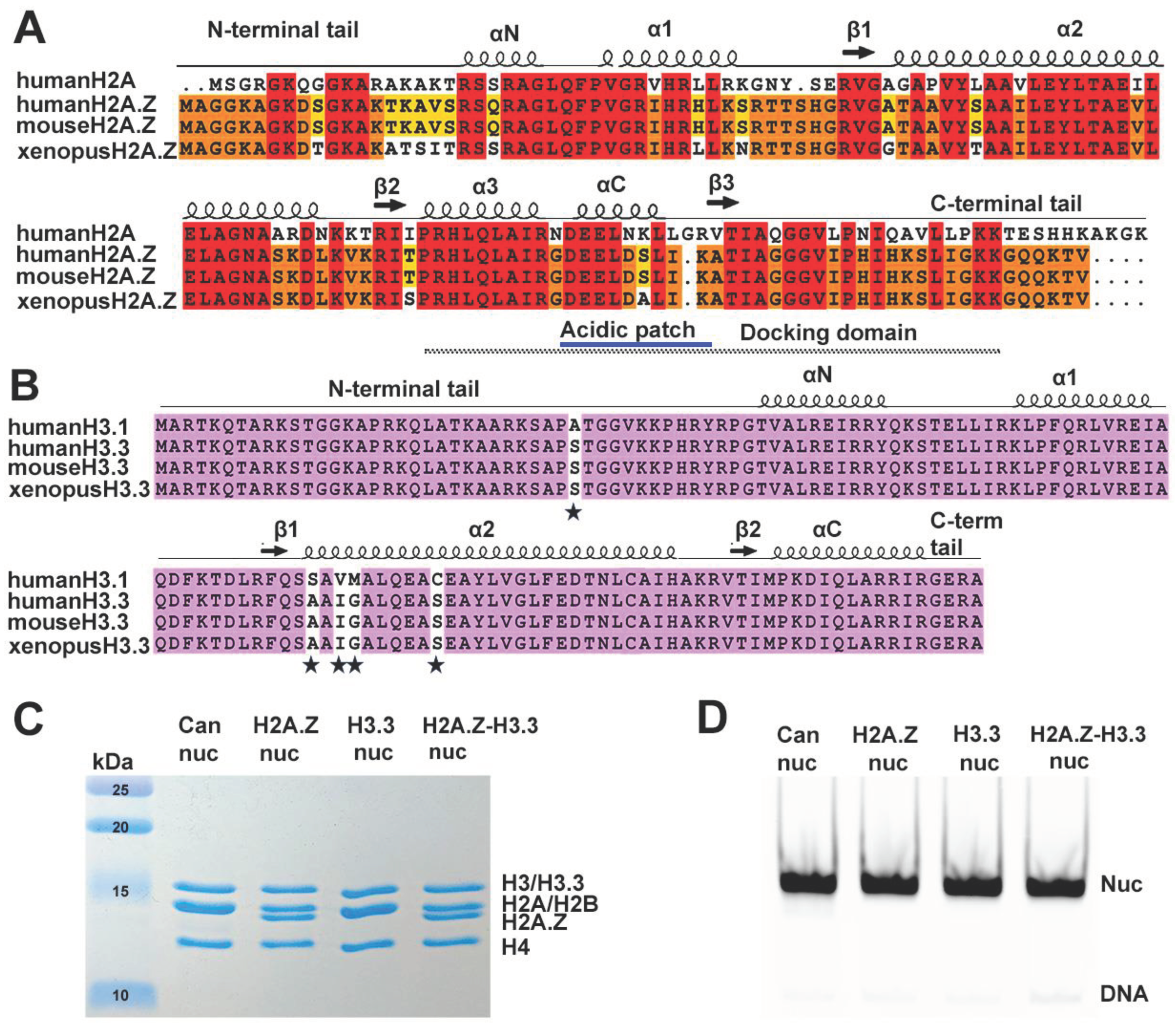 Preprints 102545 g001