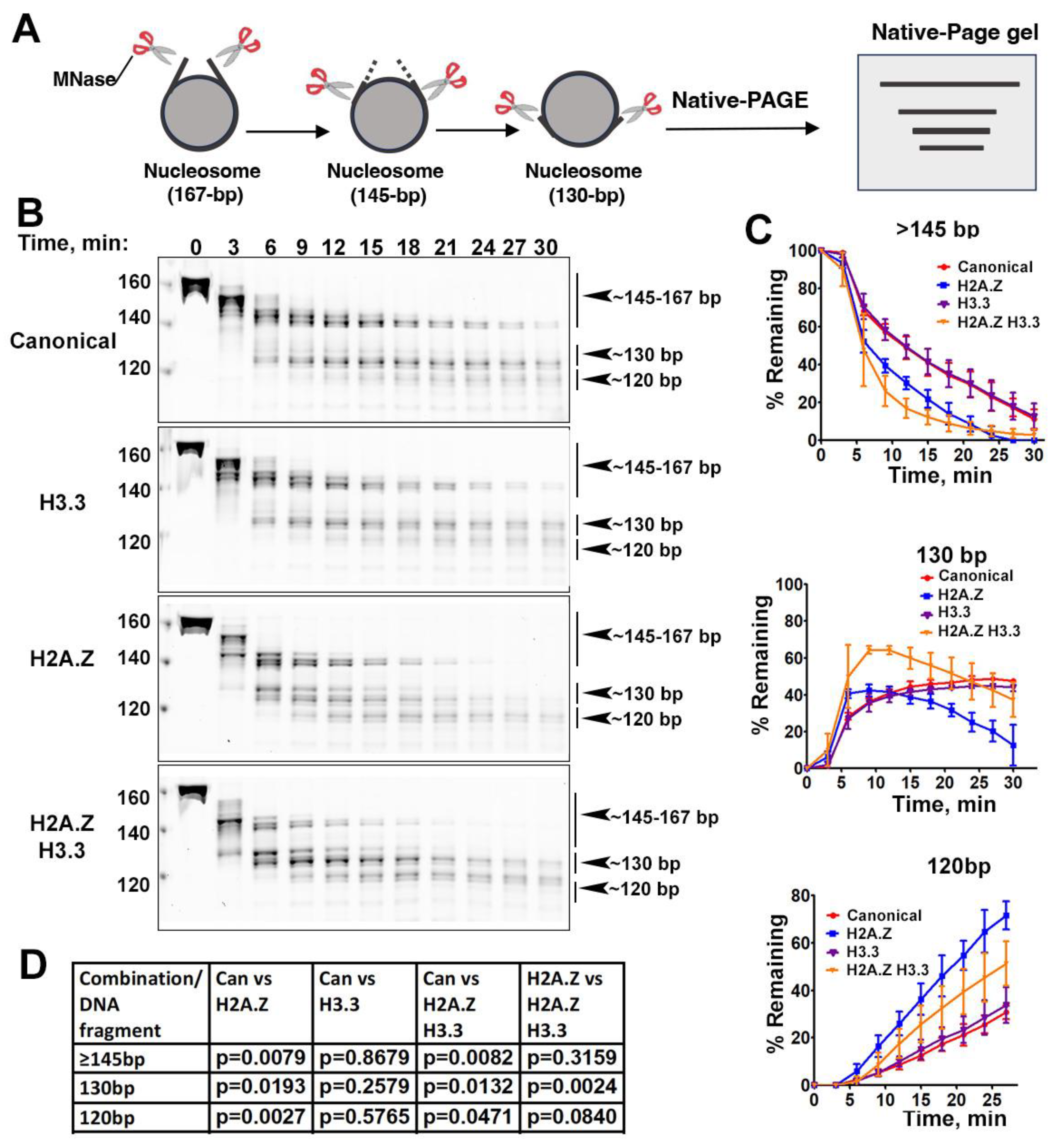 Preprints 102545 g002