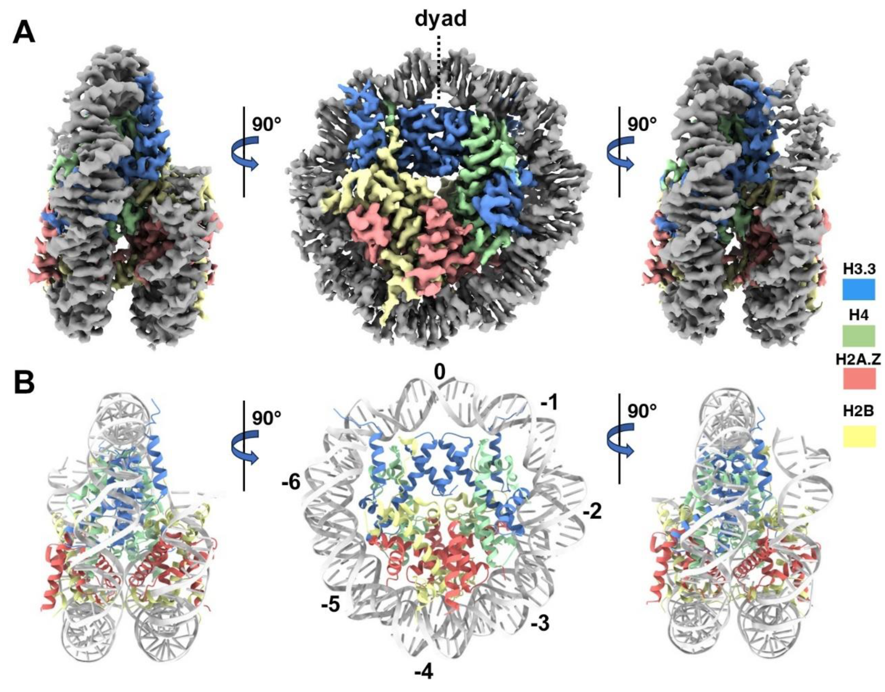 Preprints 102545 g003