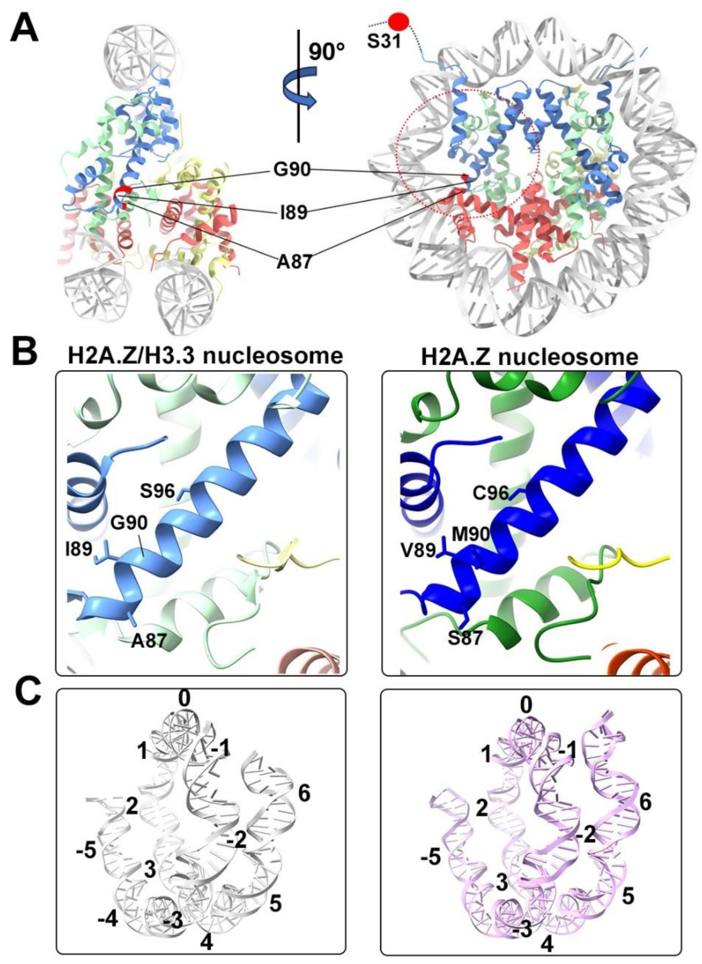 Preprints 102545 g004