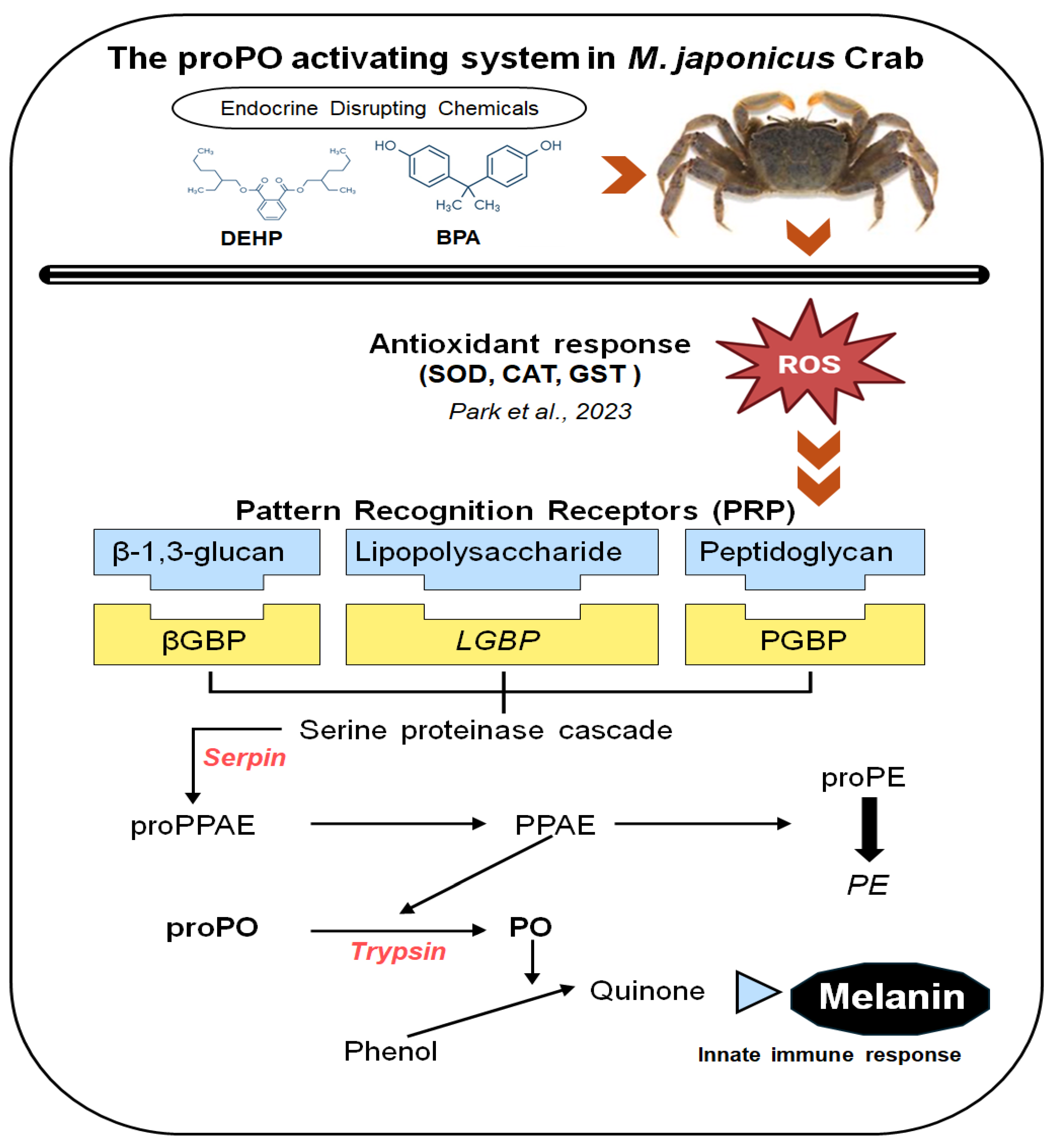 Preprints 118133 g001