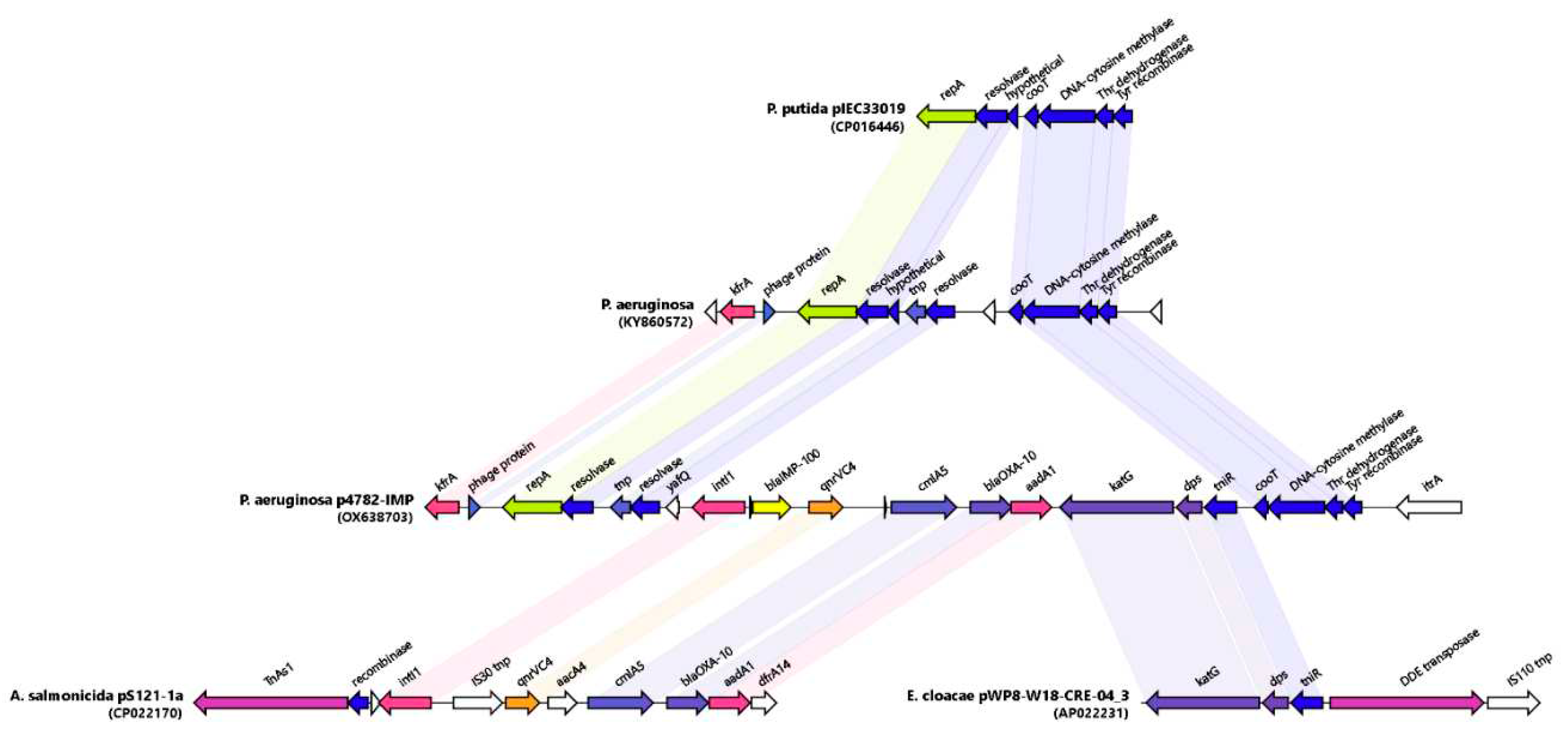 Preprints 80835 g005