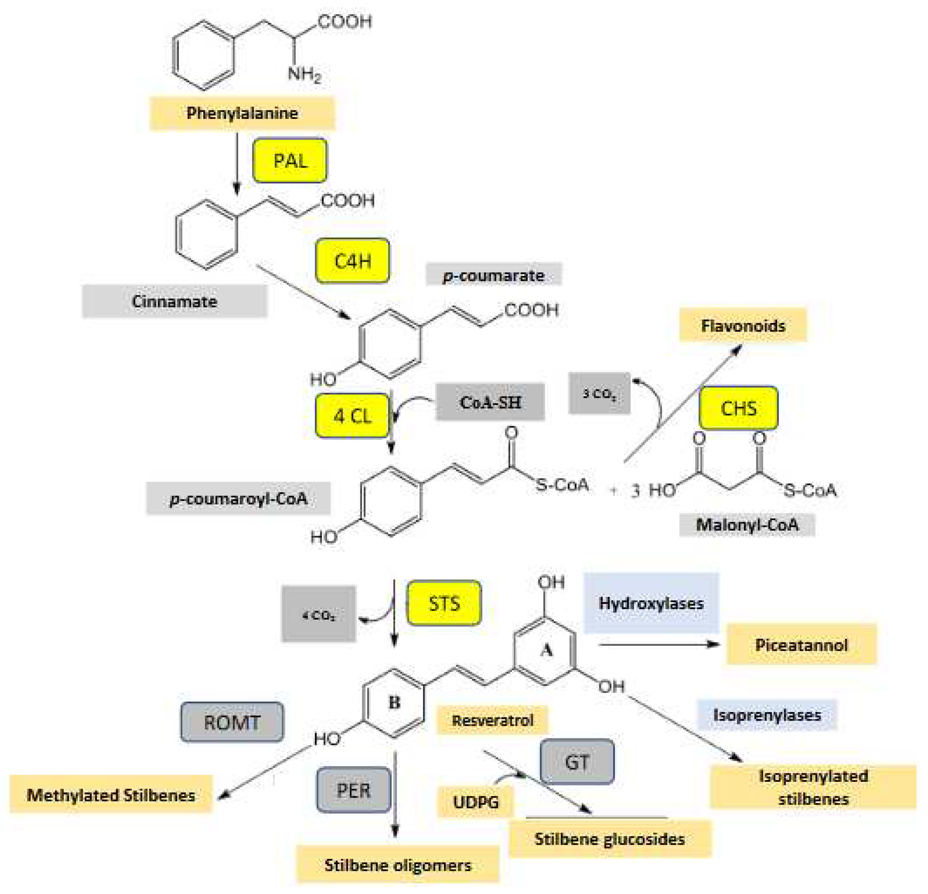 Preprints 82016 g001