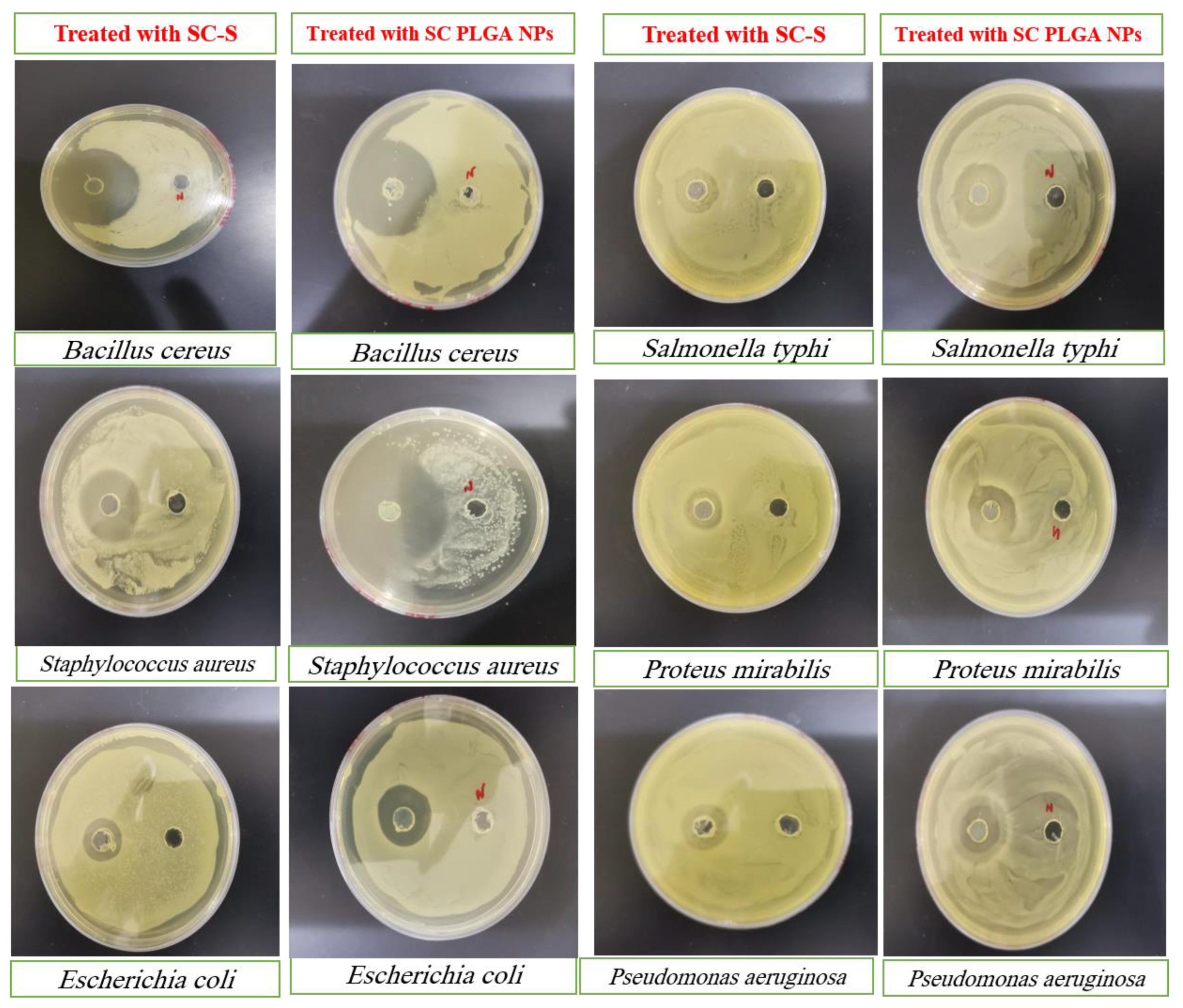 Preprints 76379 g006