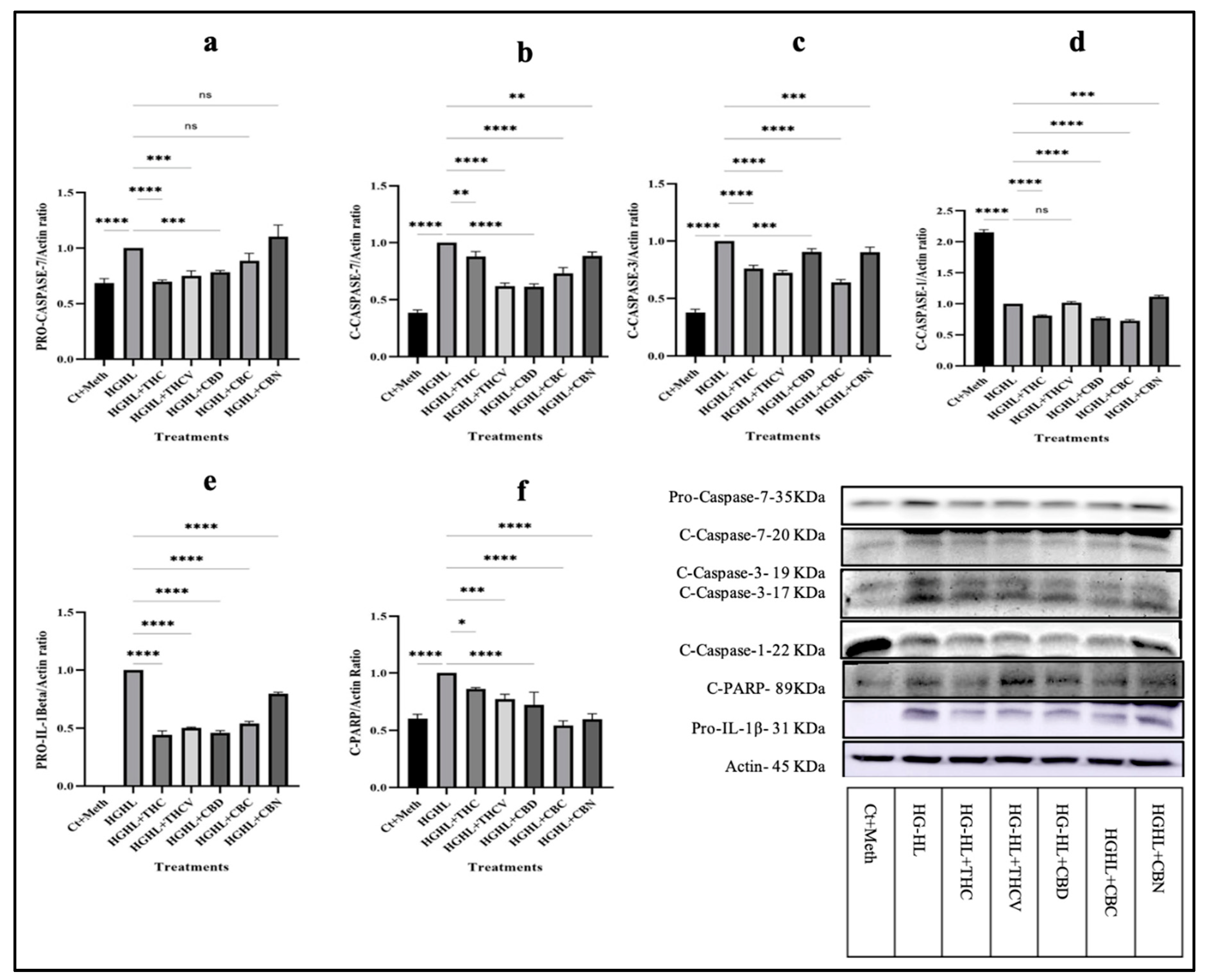 Preprints 85070 g003