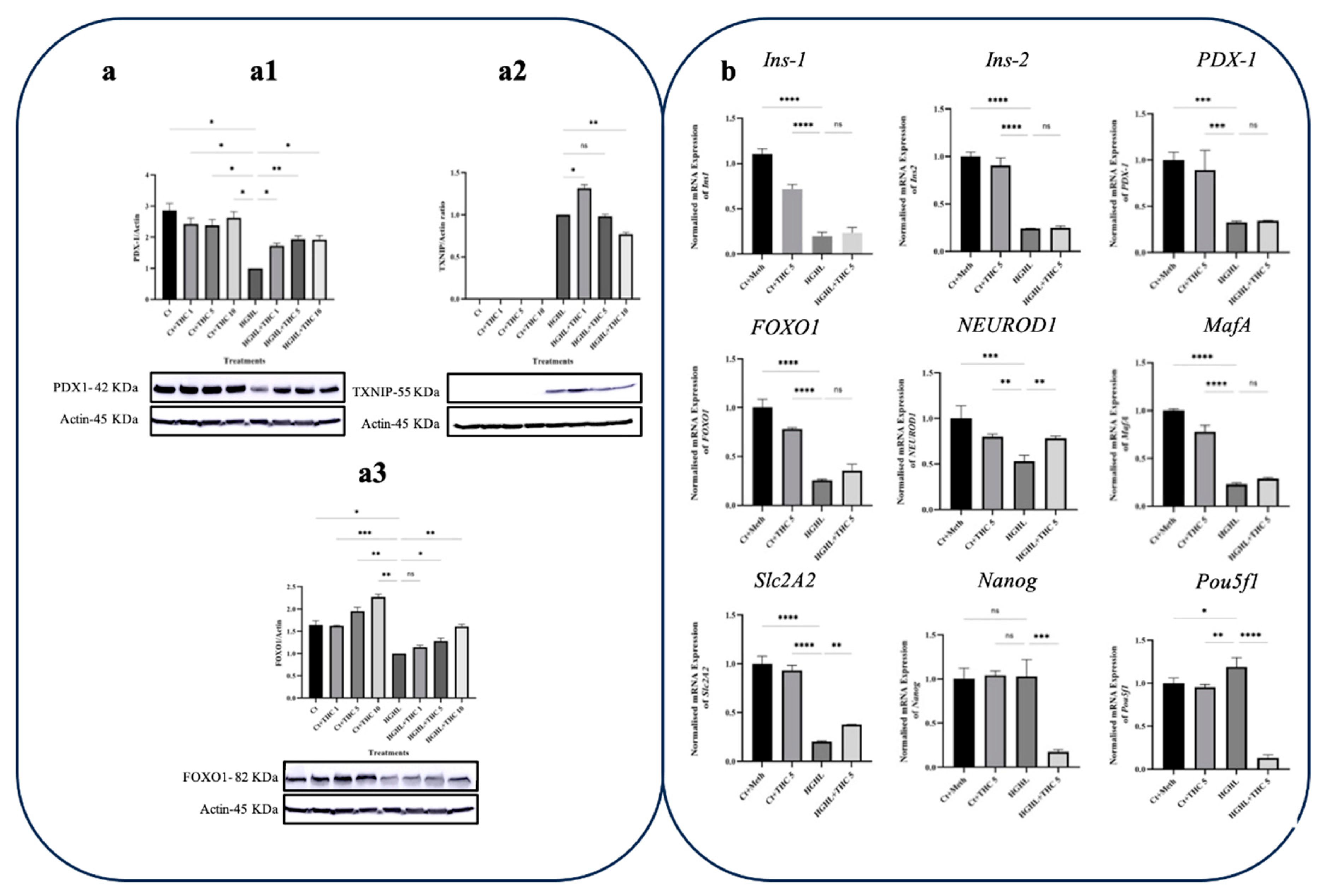 Preprints 85070 g004