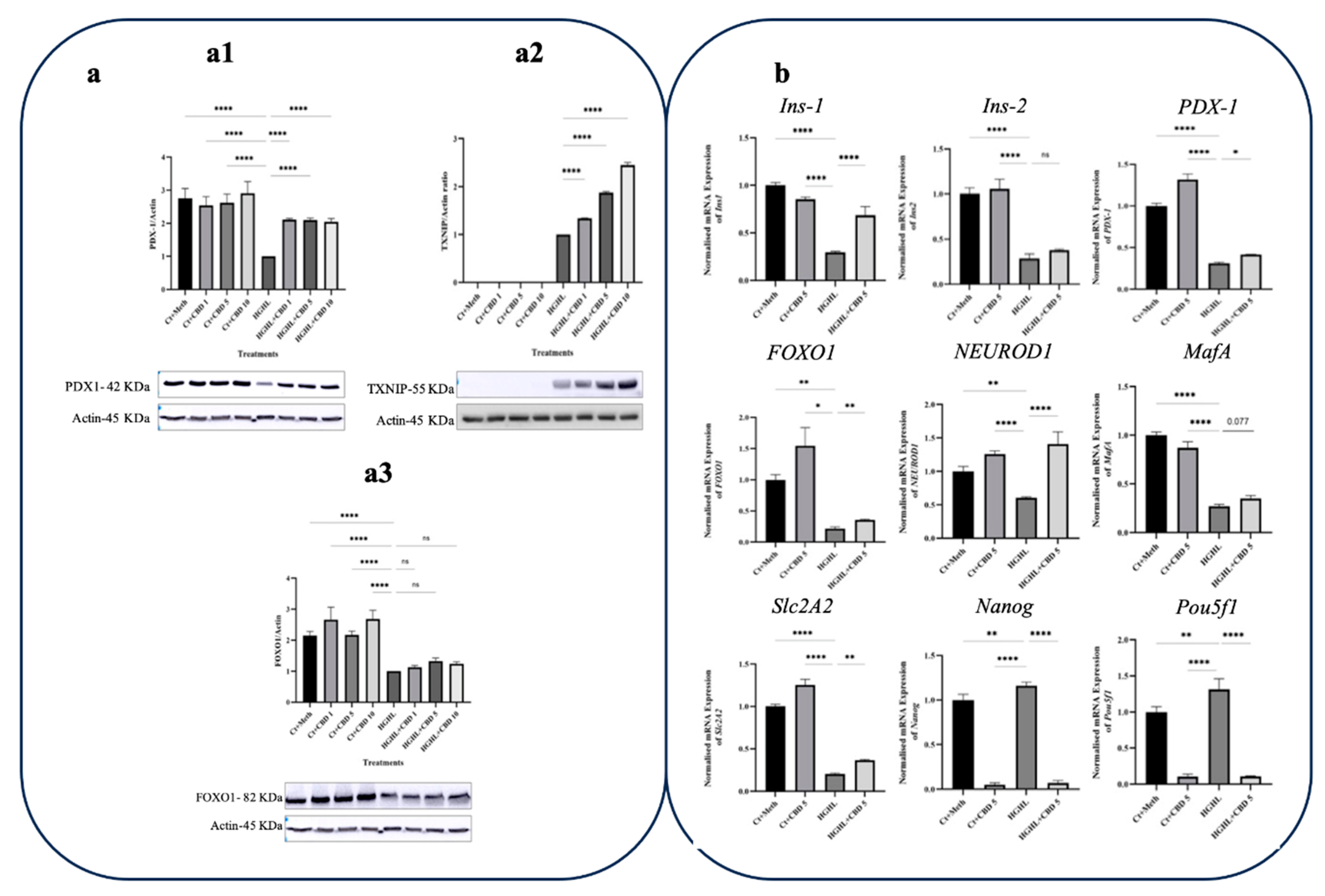 Preprints 85070 g005