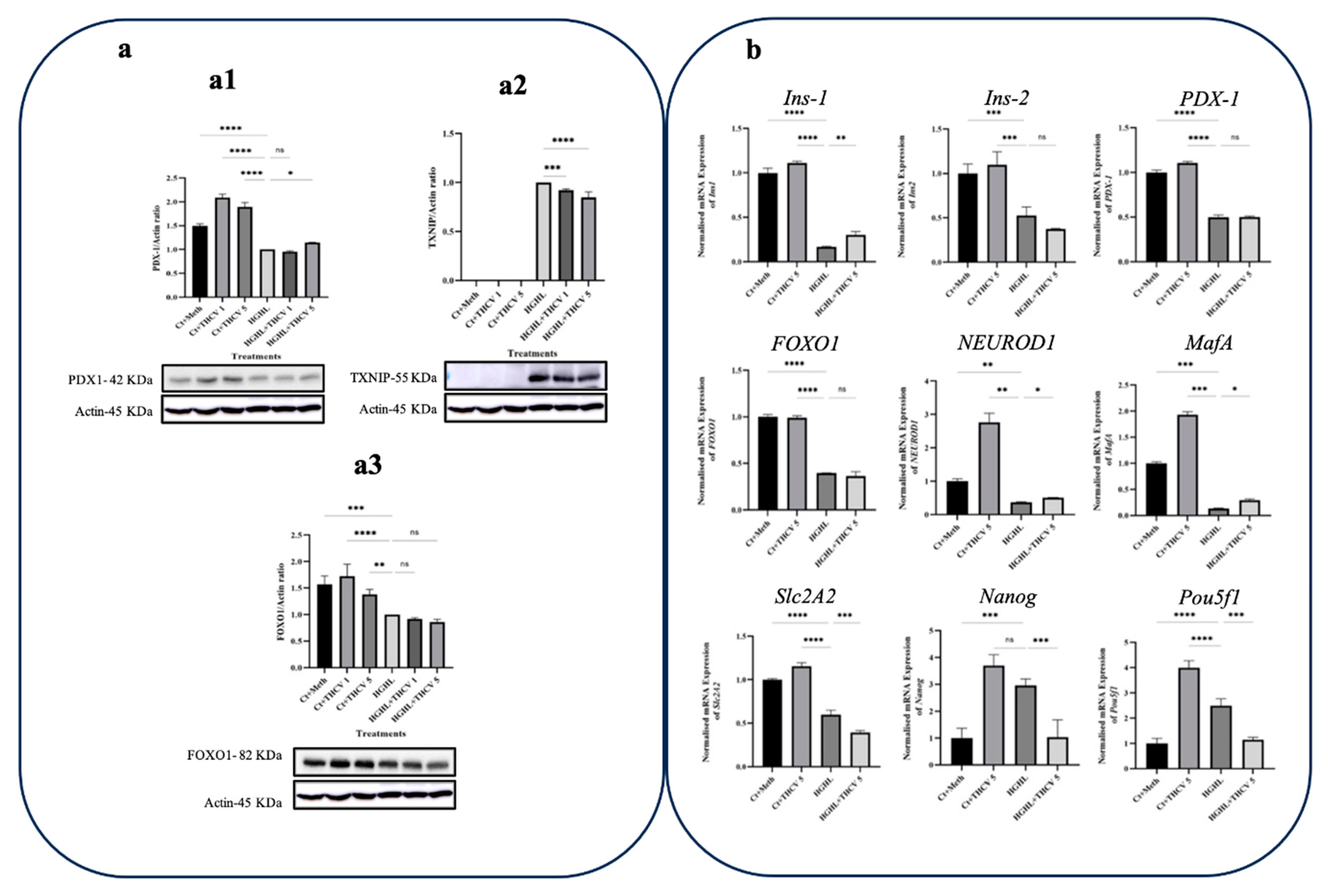 Preprints 85070 g006