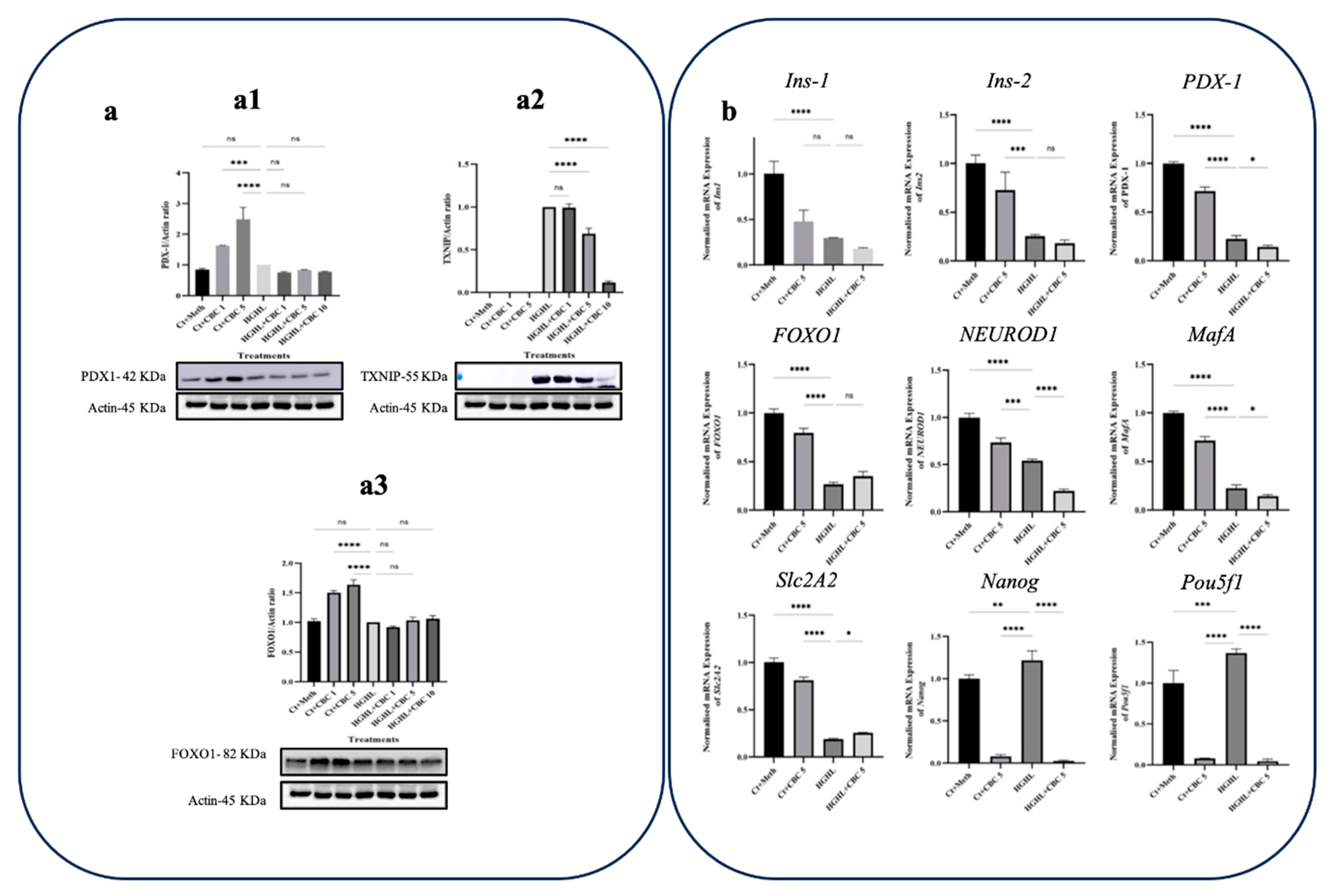 Preprints 85070 g007