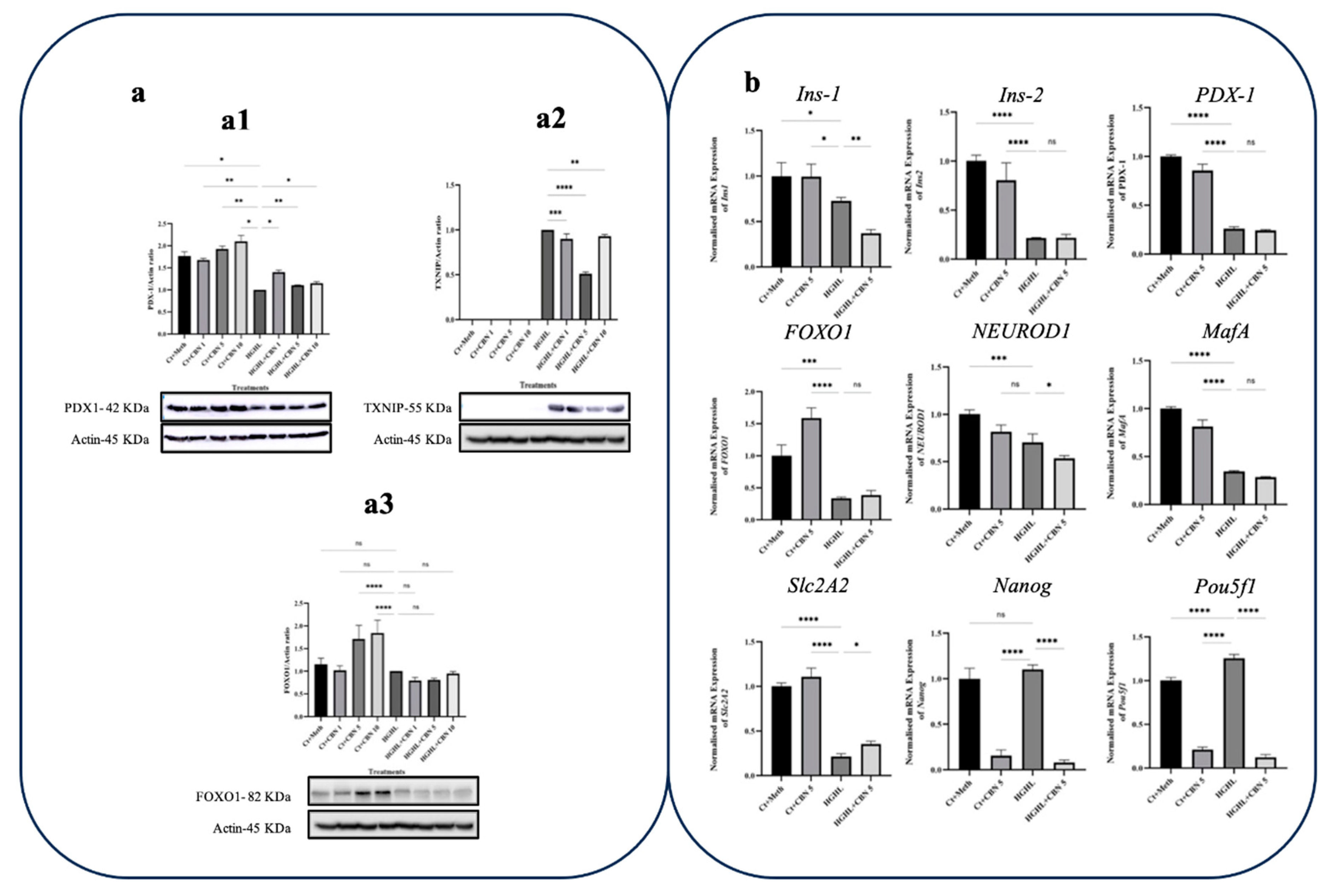 Preprints 85070 g008