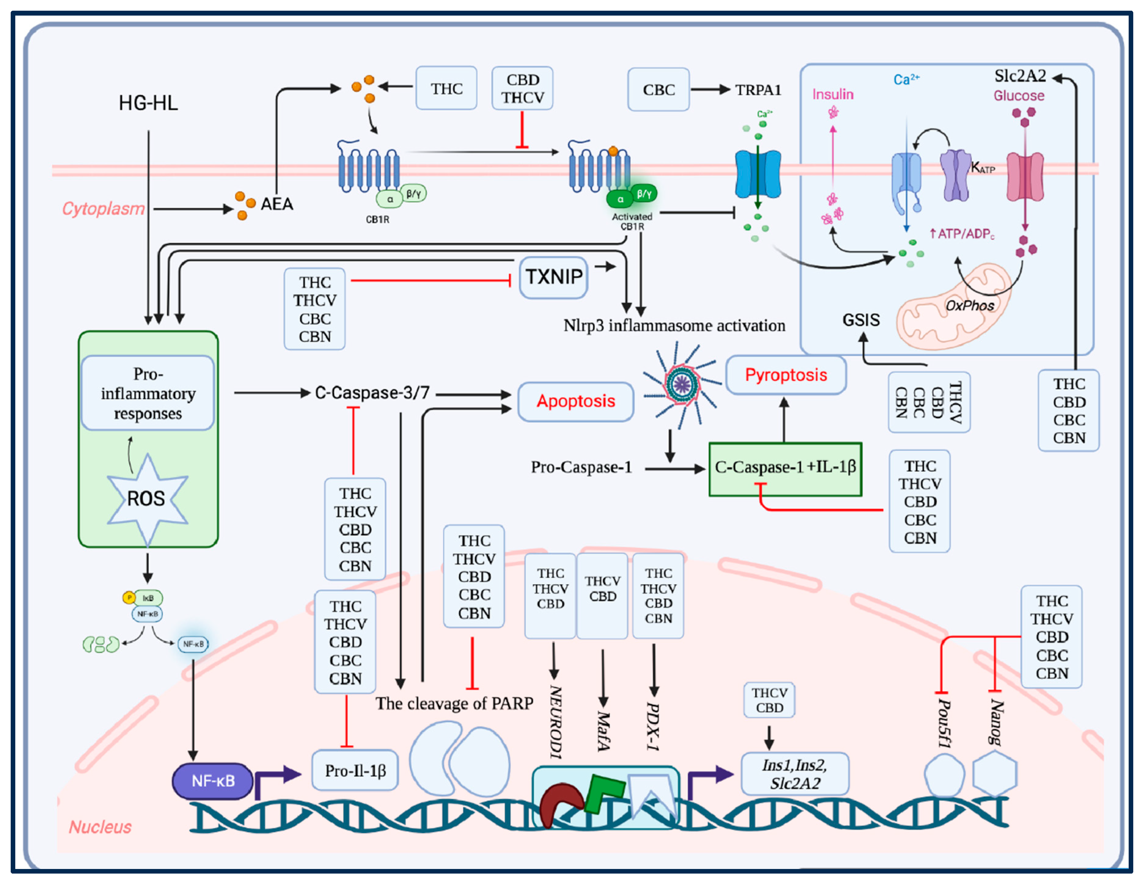 Preprints 85070 g009