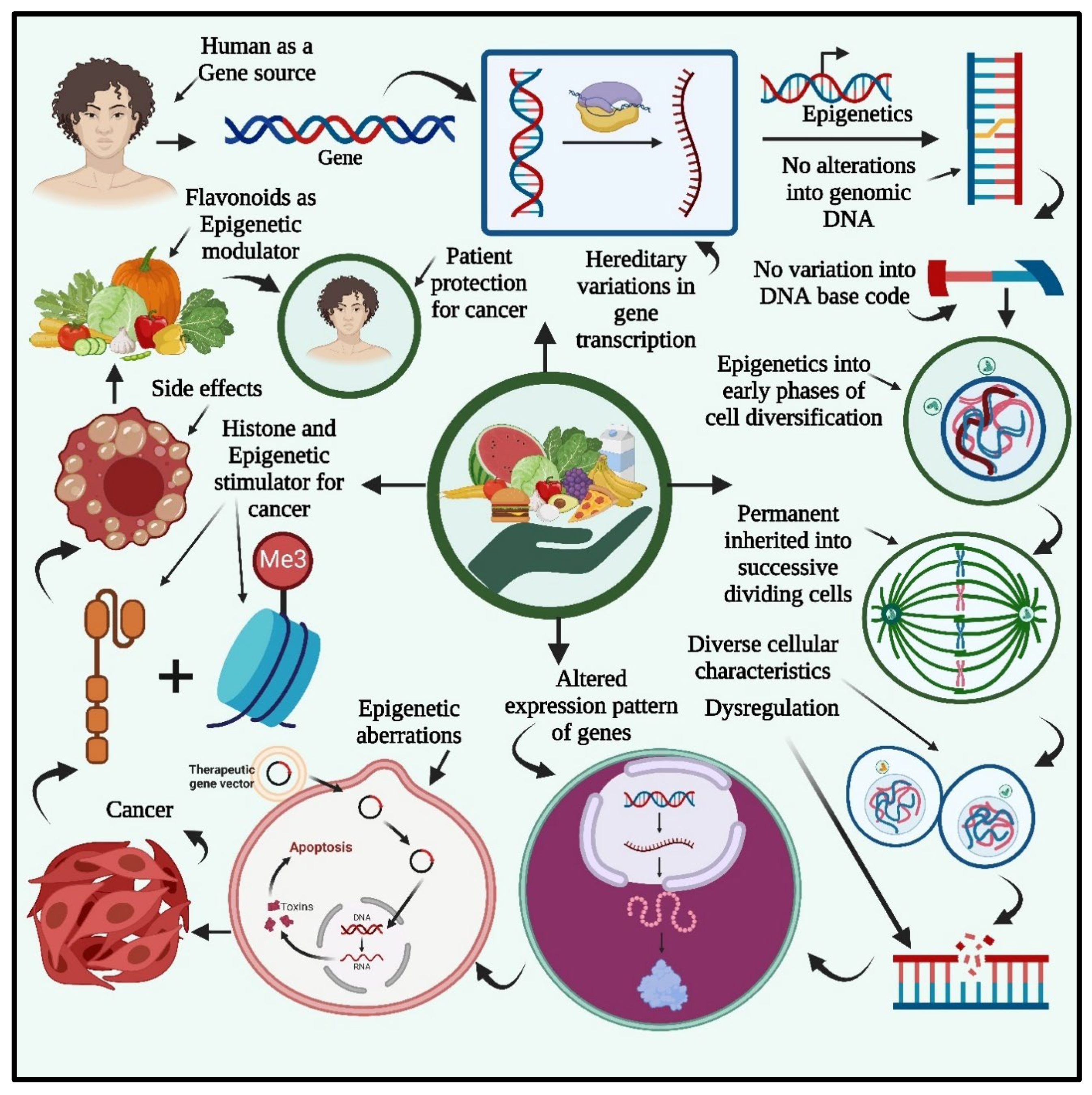 Preprints 111857 g003