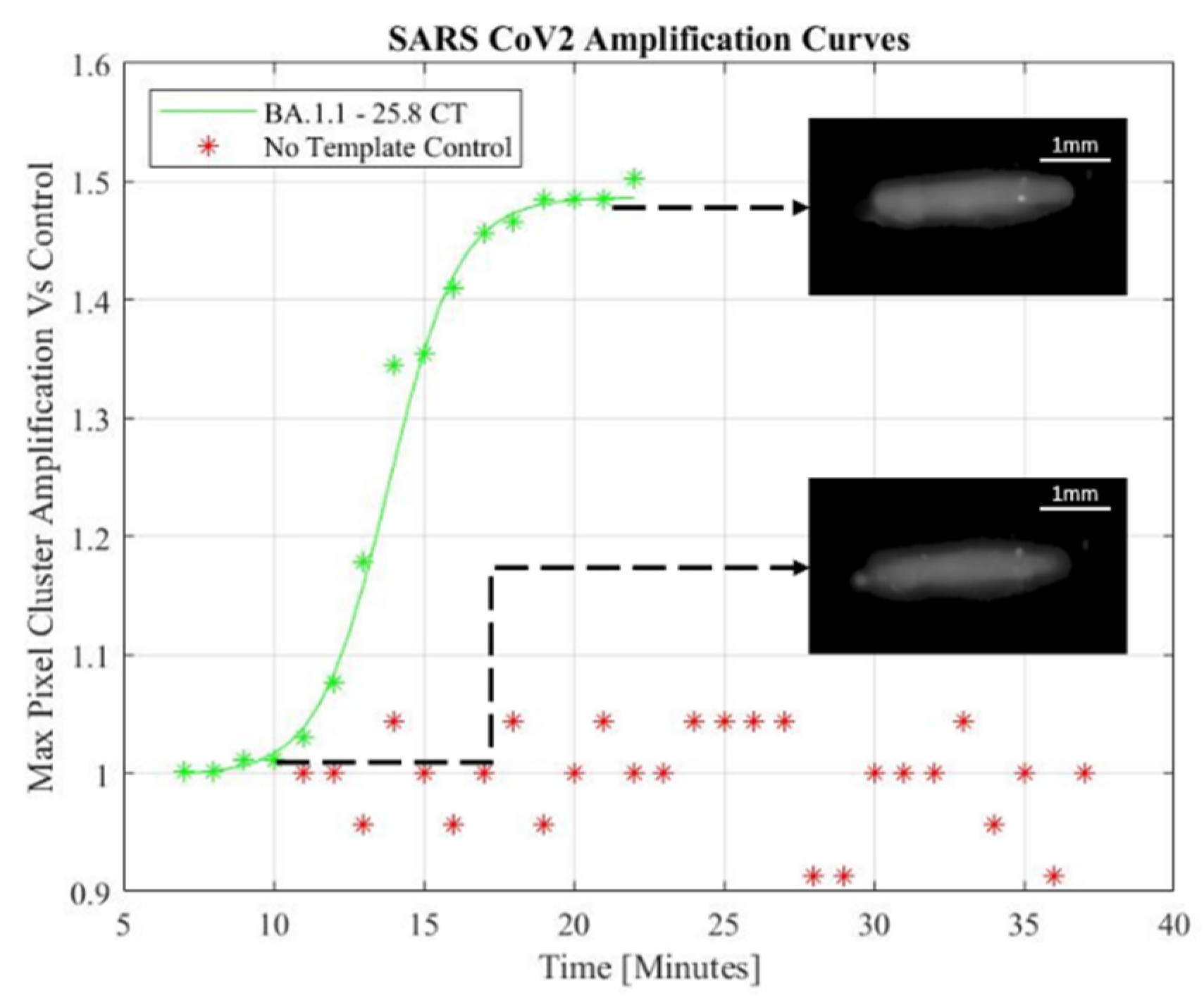 Preprints 76790 g003