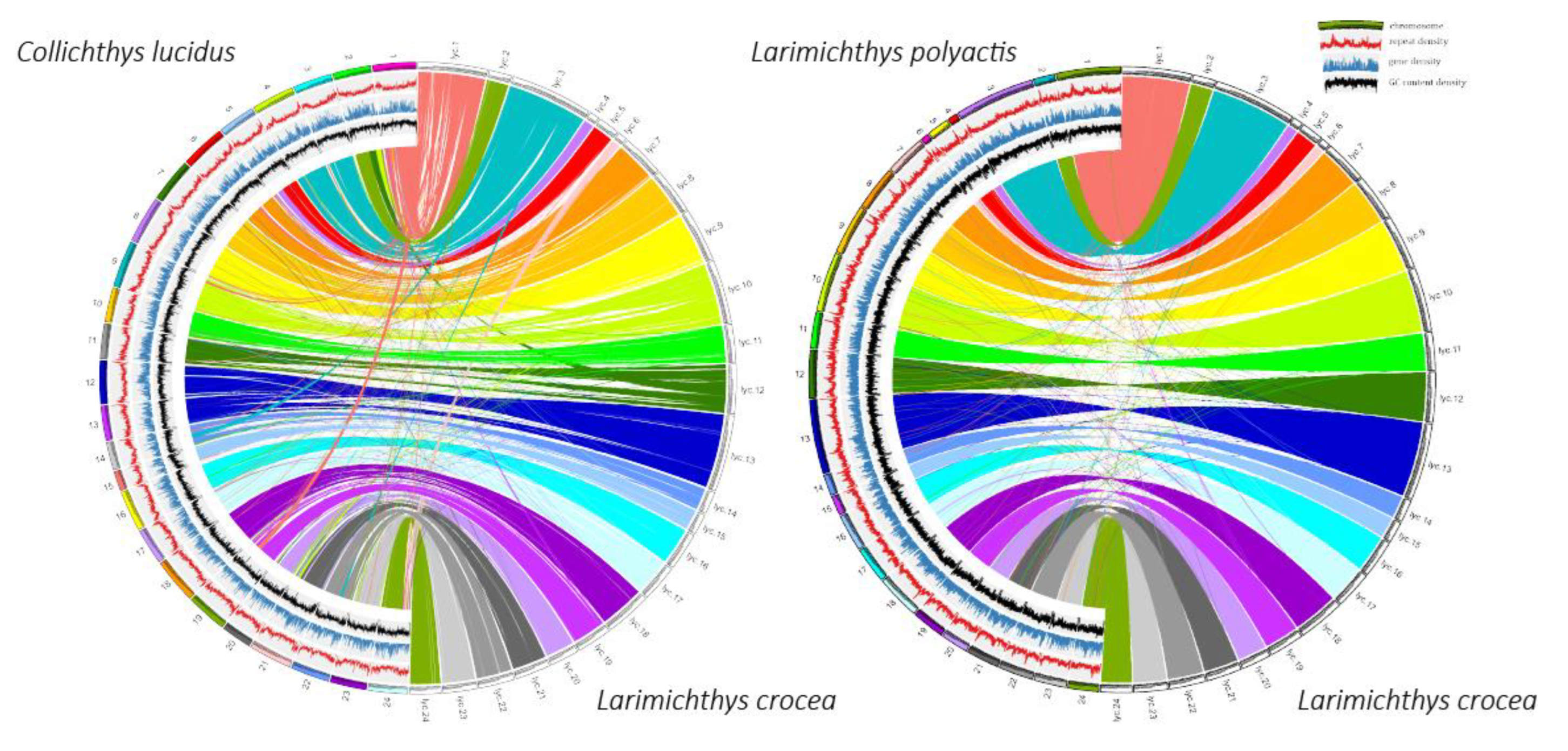 Preprints 68511 g001