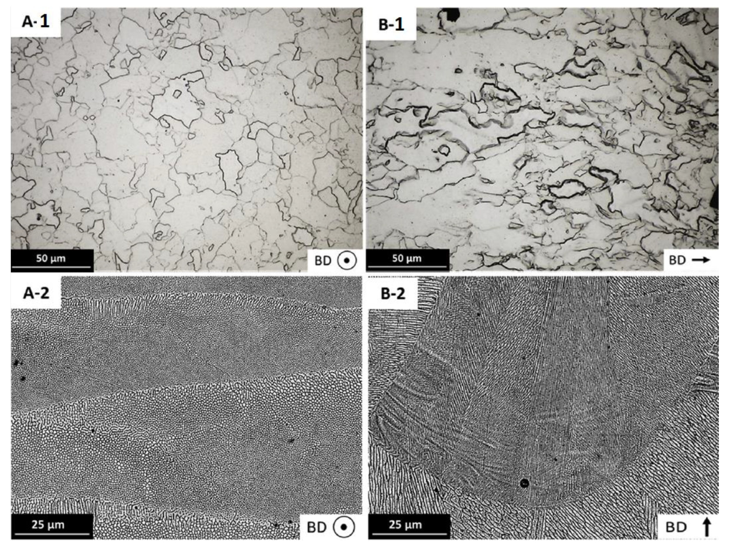 Preprints 141885 g008