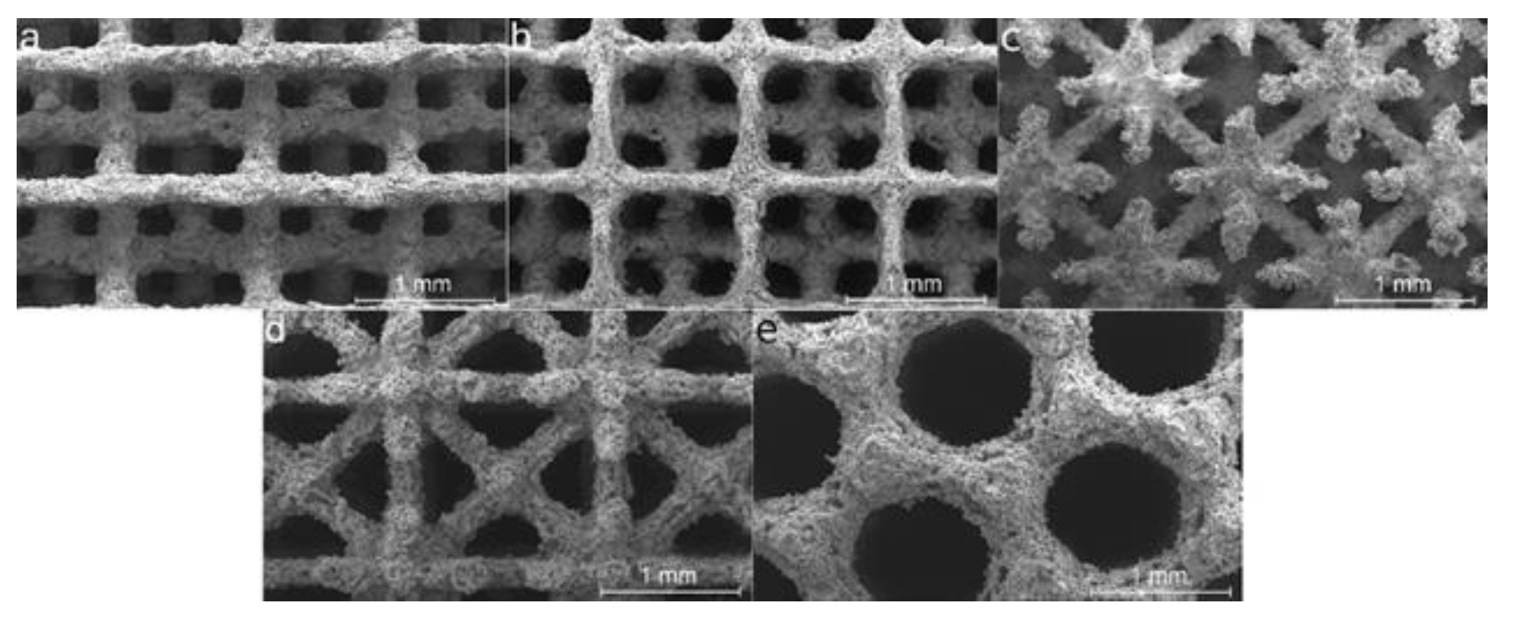 Preprints 141885 g016