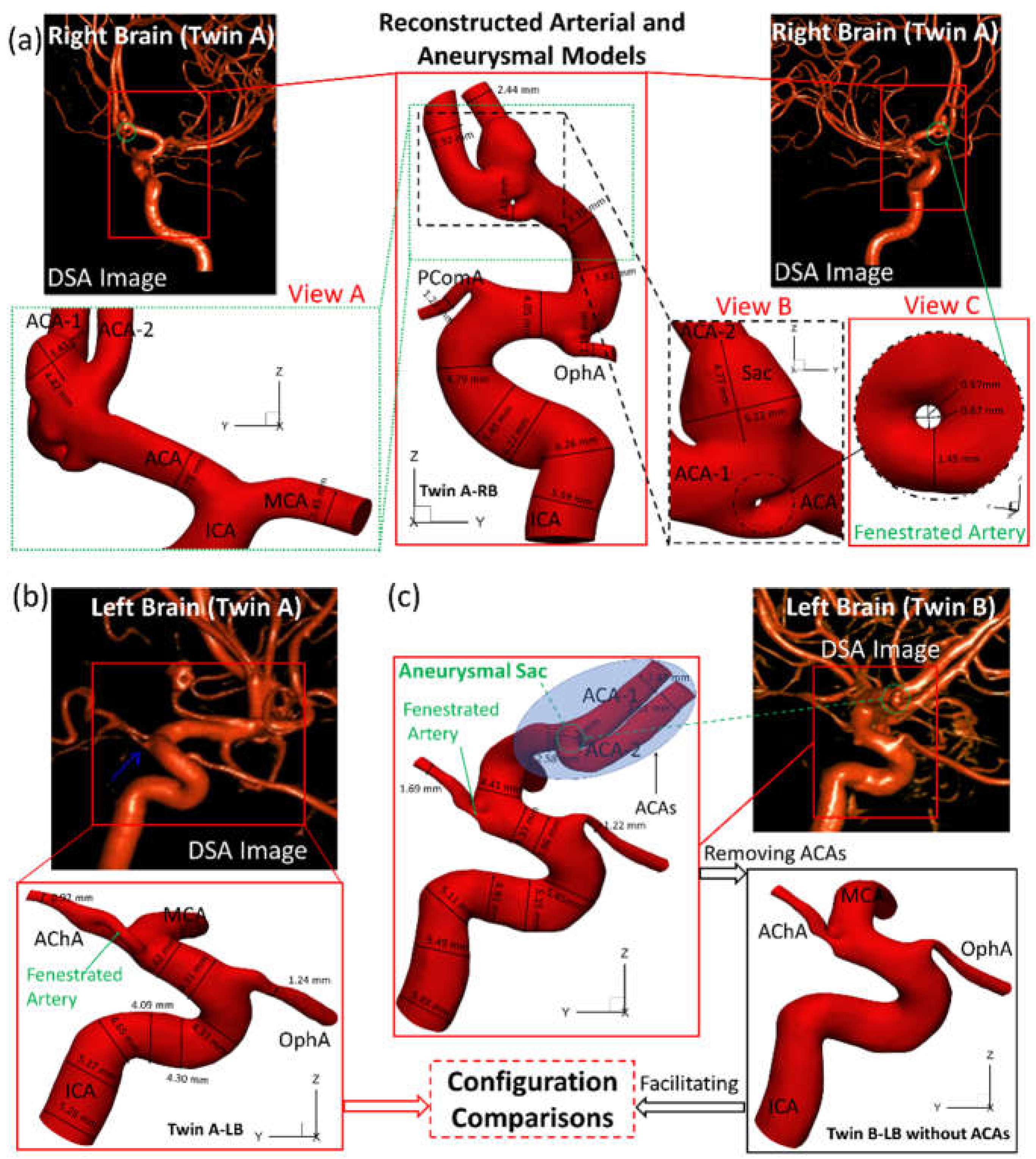 Preprints 68645 g002