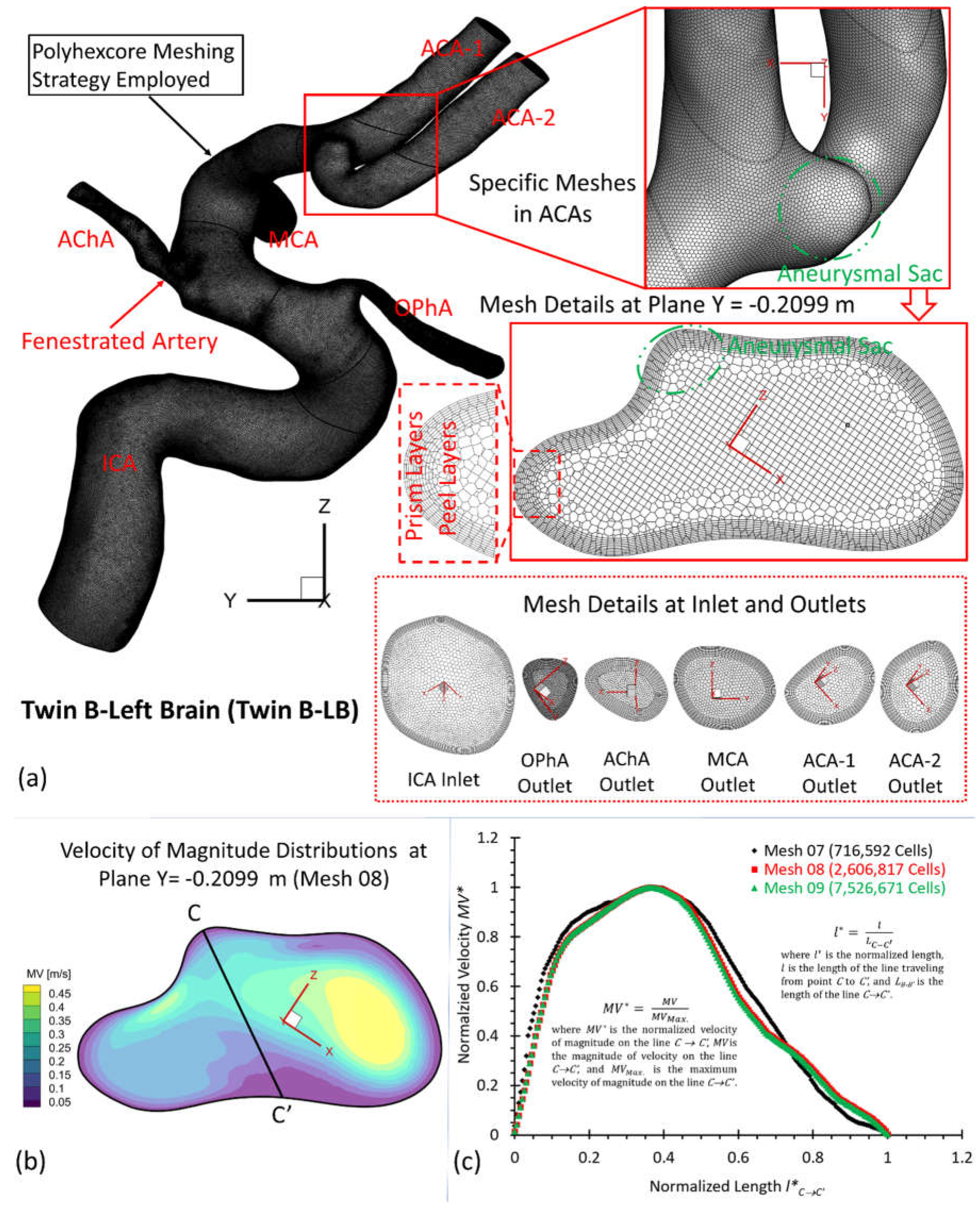 Preprints 68645 g006