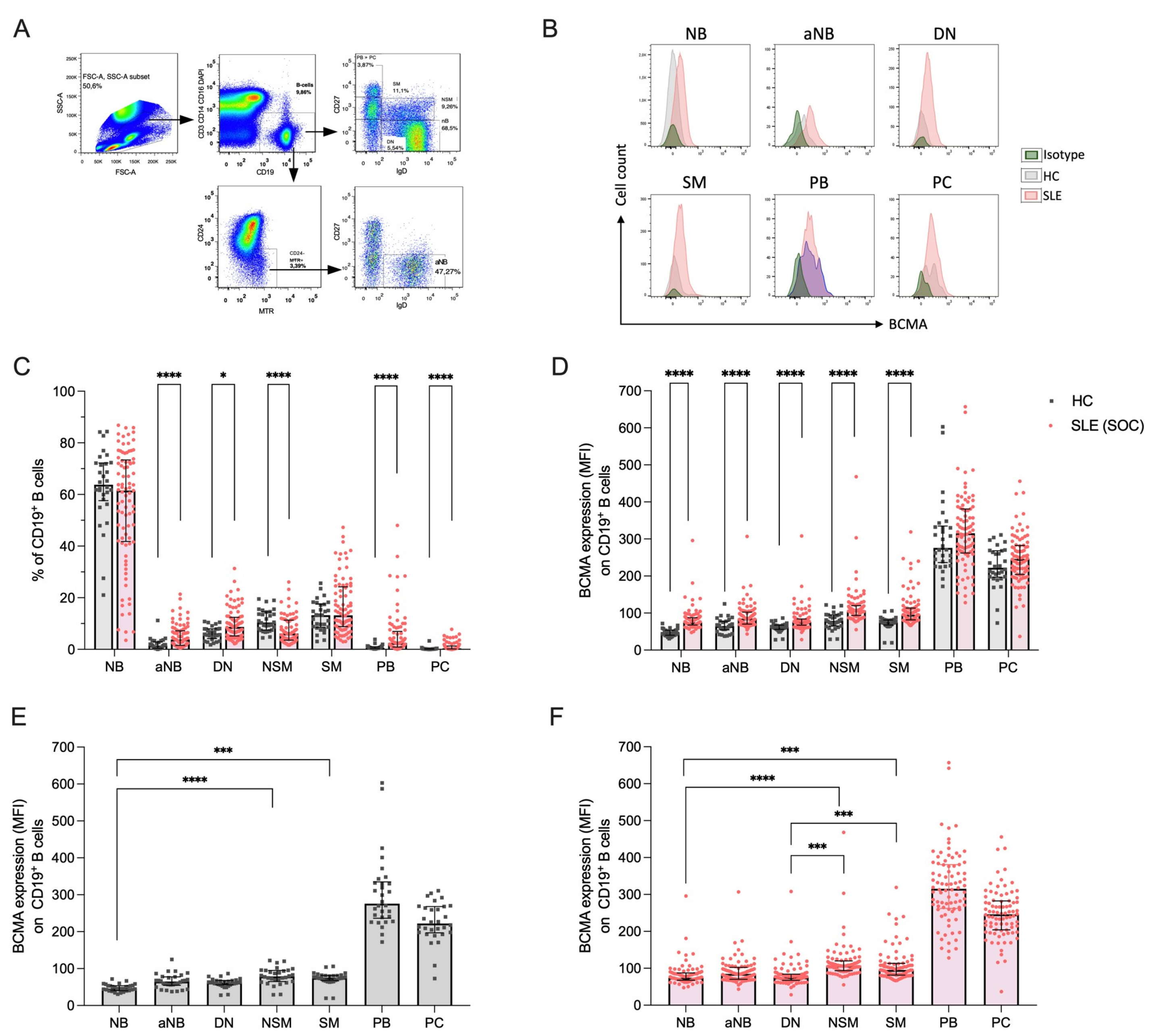 Preprints 116865 g001