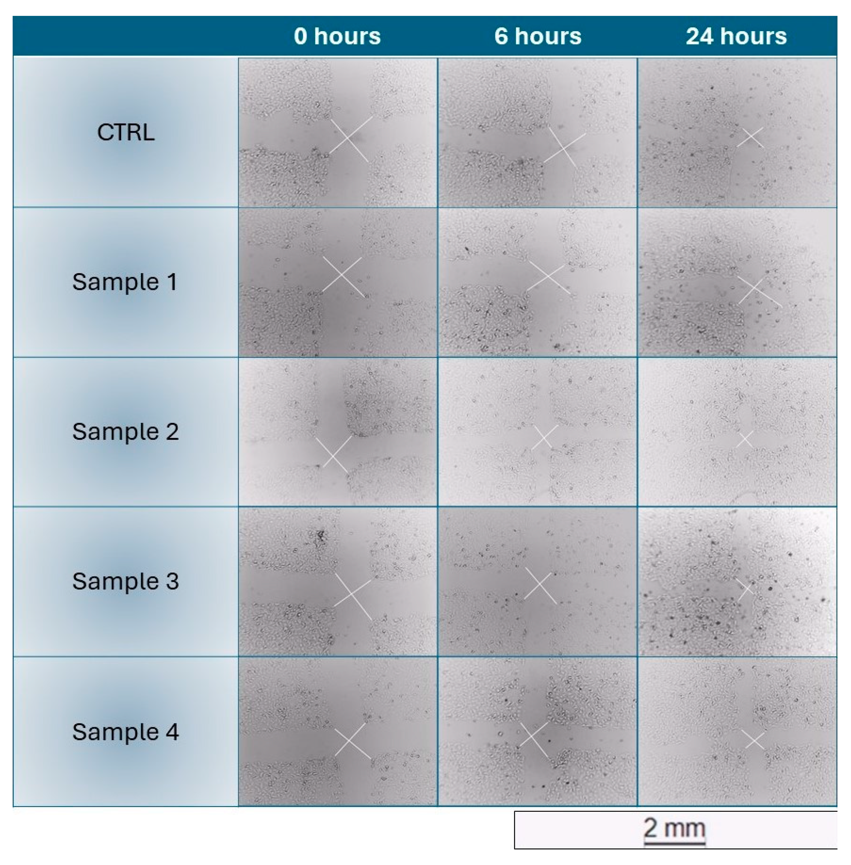 Preprints 120185 g002