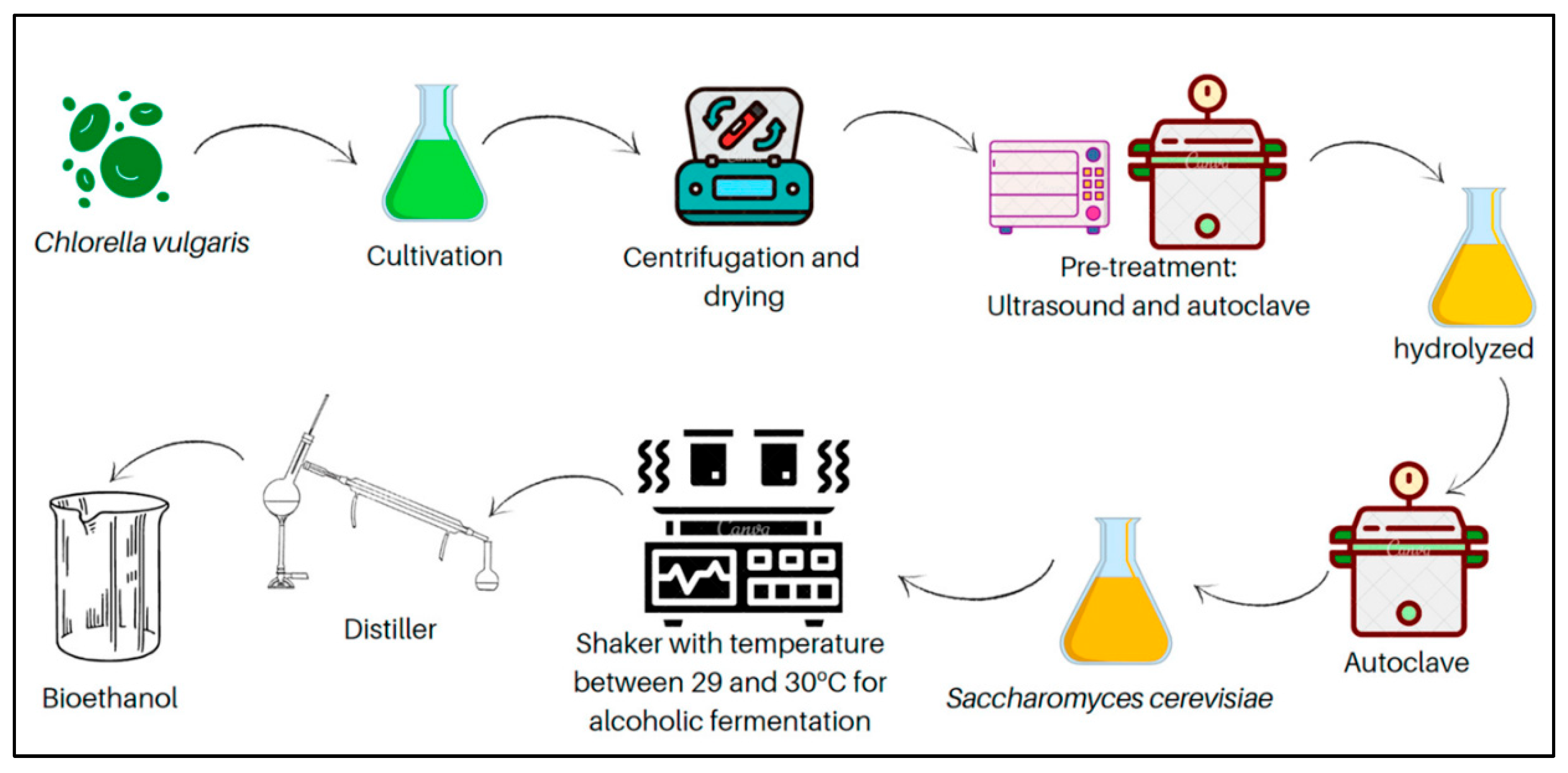 Preprints 105577 g005