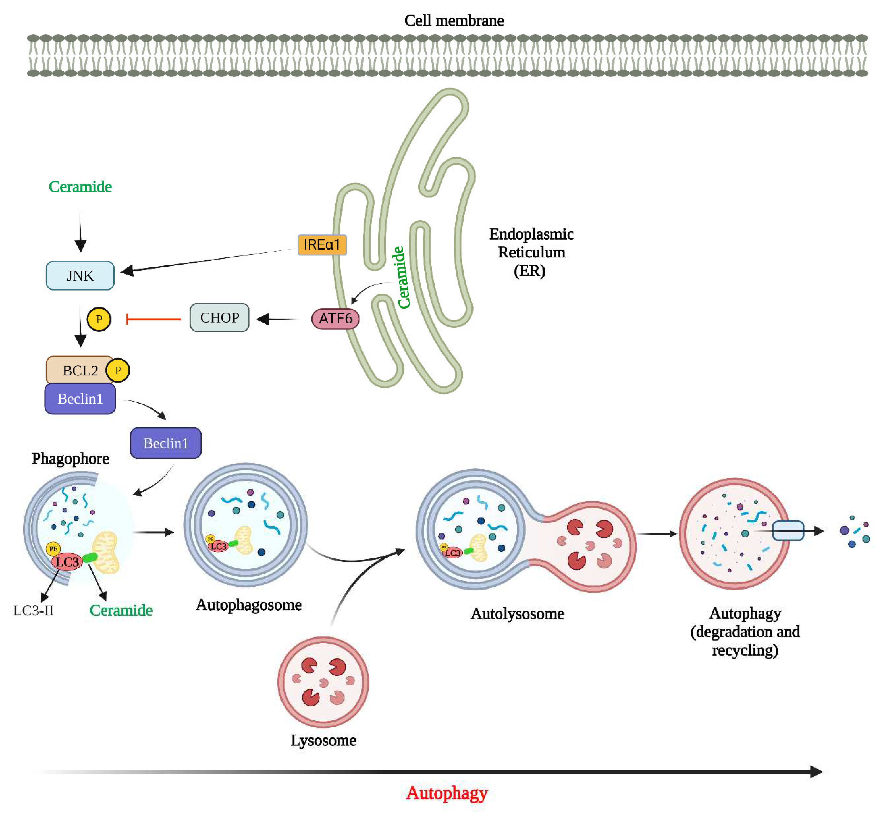 Preprints 67418 g003