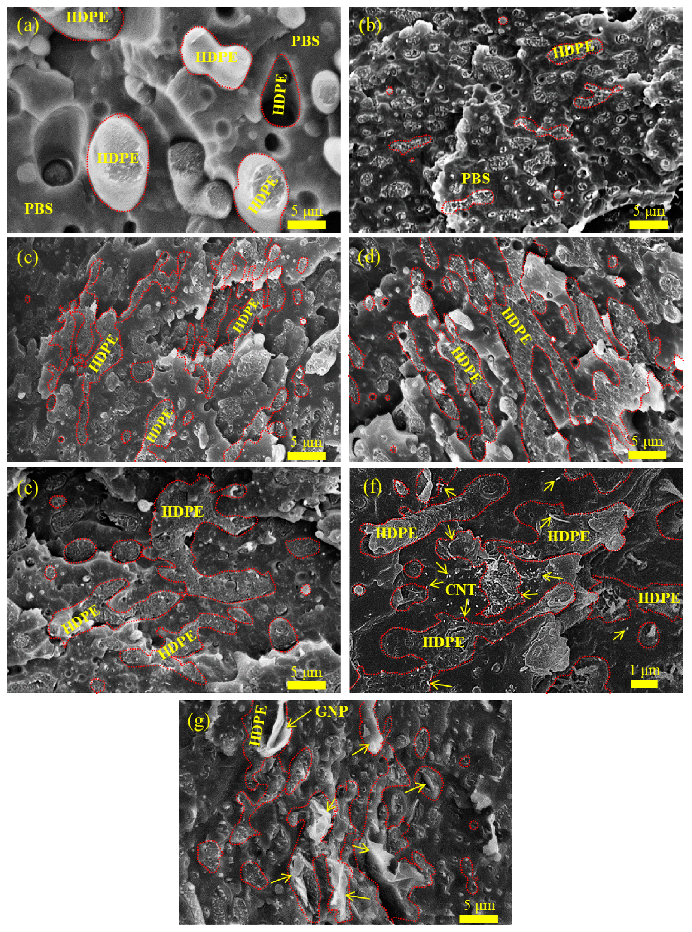 Preprints 88072 g001